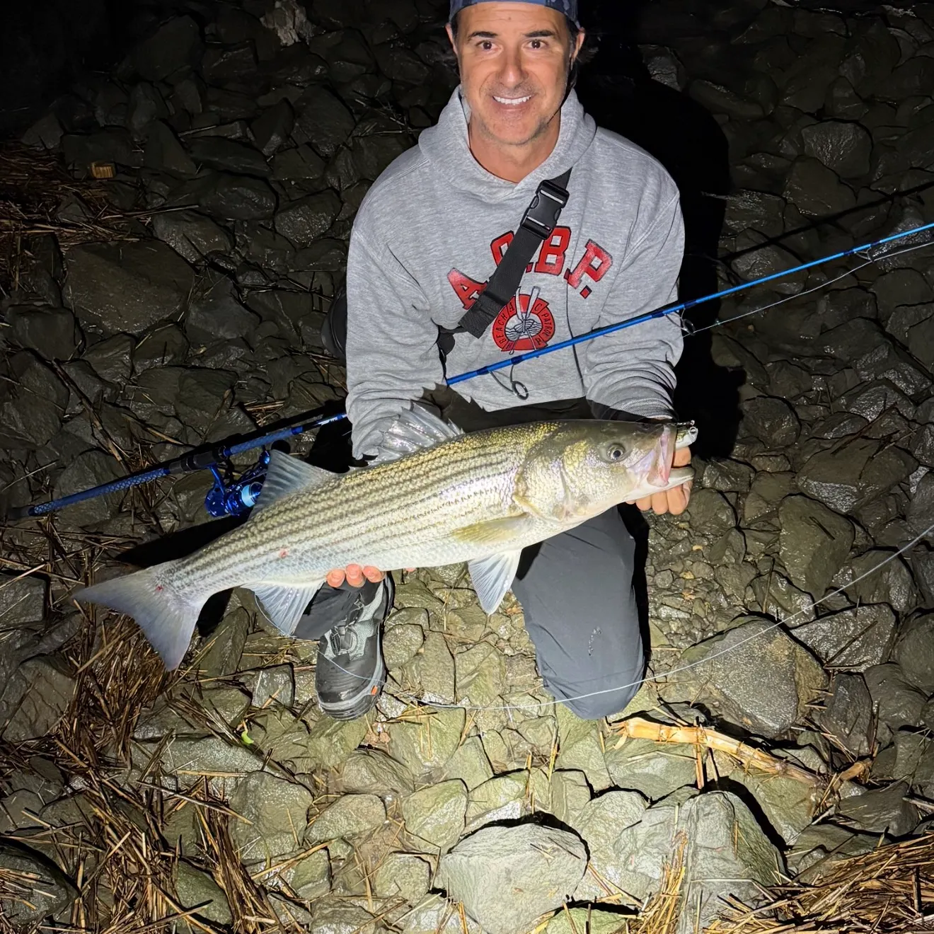 Striped bass caught on Fishbrain