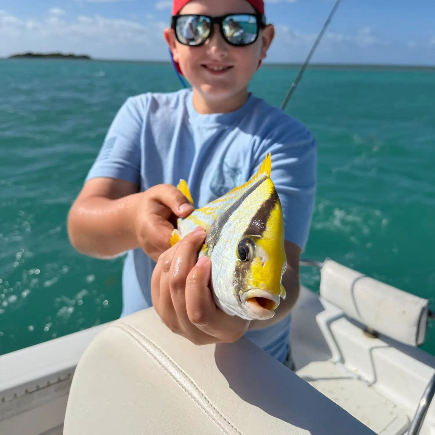 The most recent Atlantic porkfish catches on Fishbrain