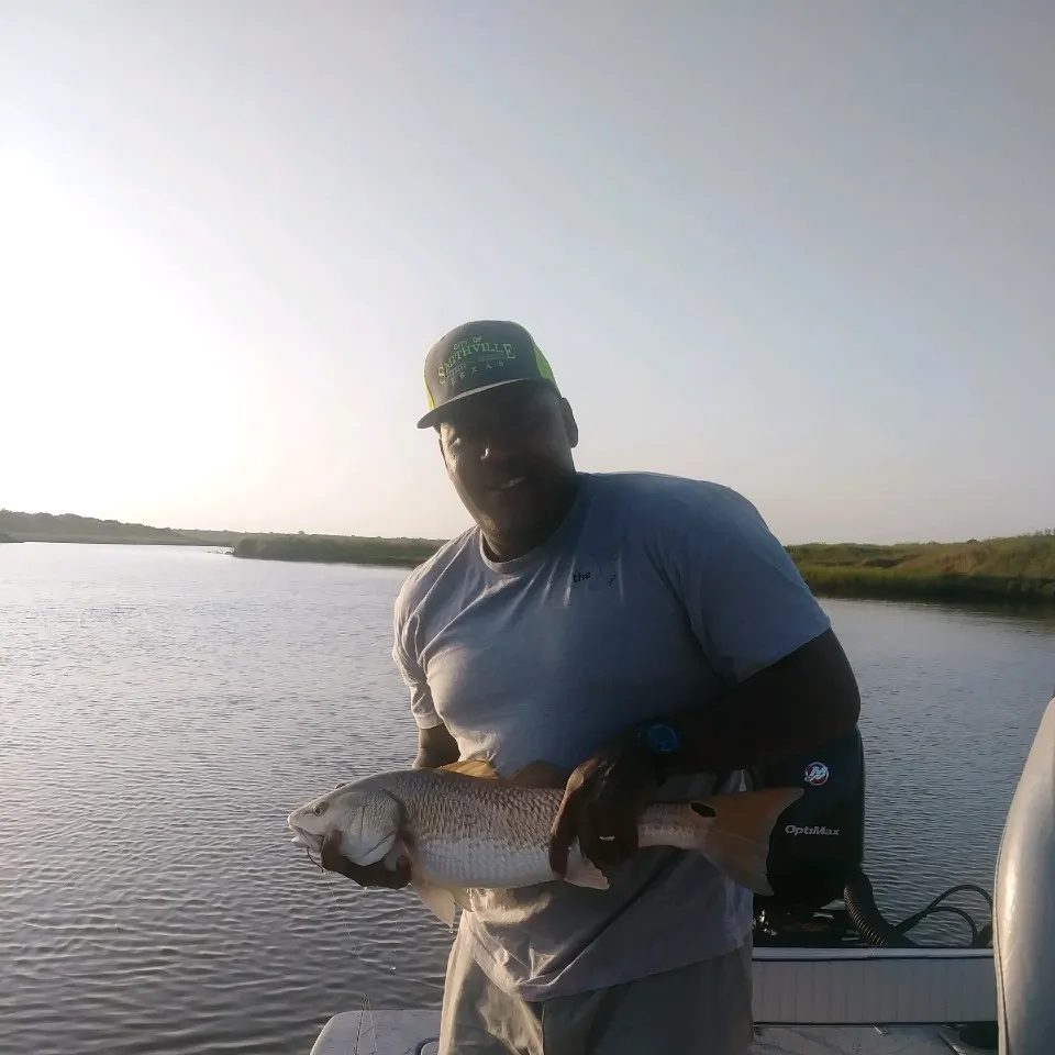 Red drum caught on Fishbrain