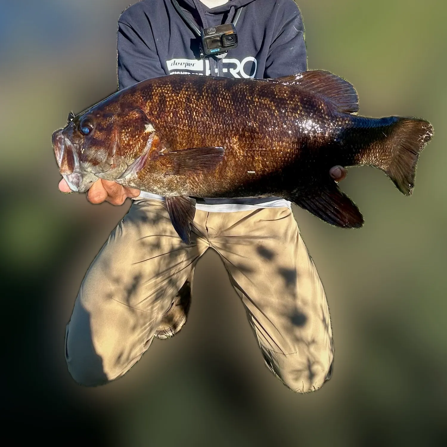 Smallmouth bass caught on Fishbrain
