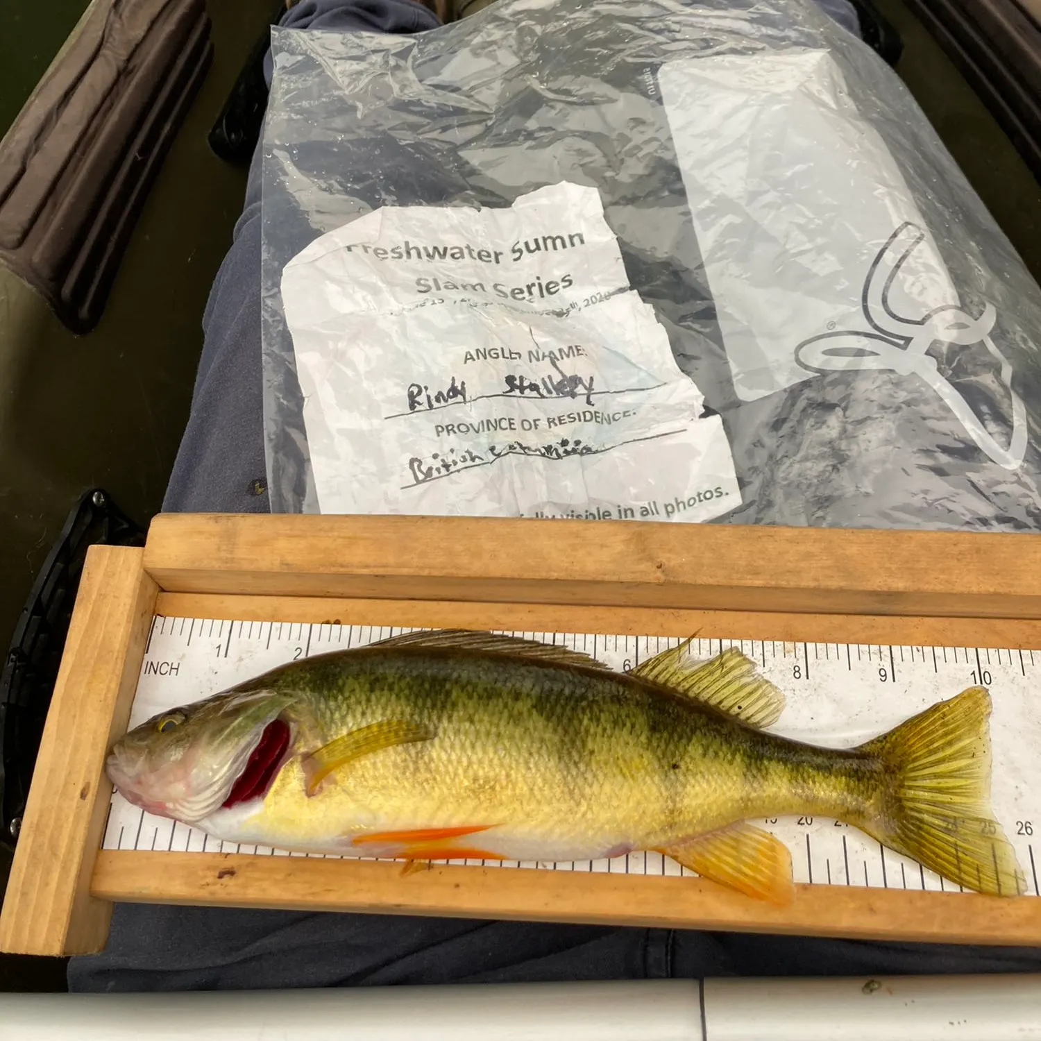 recently logged catches