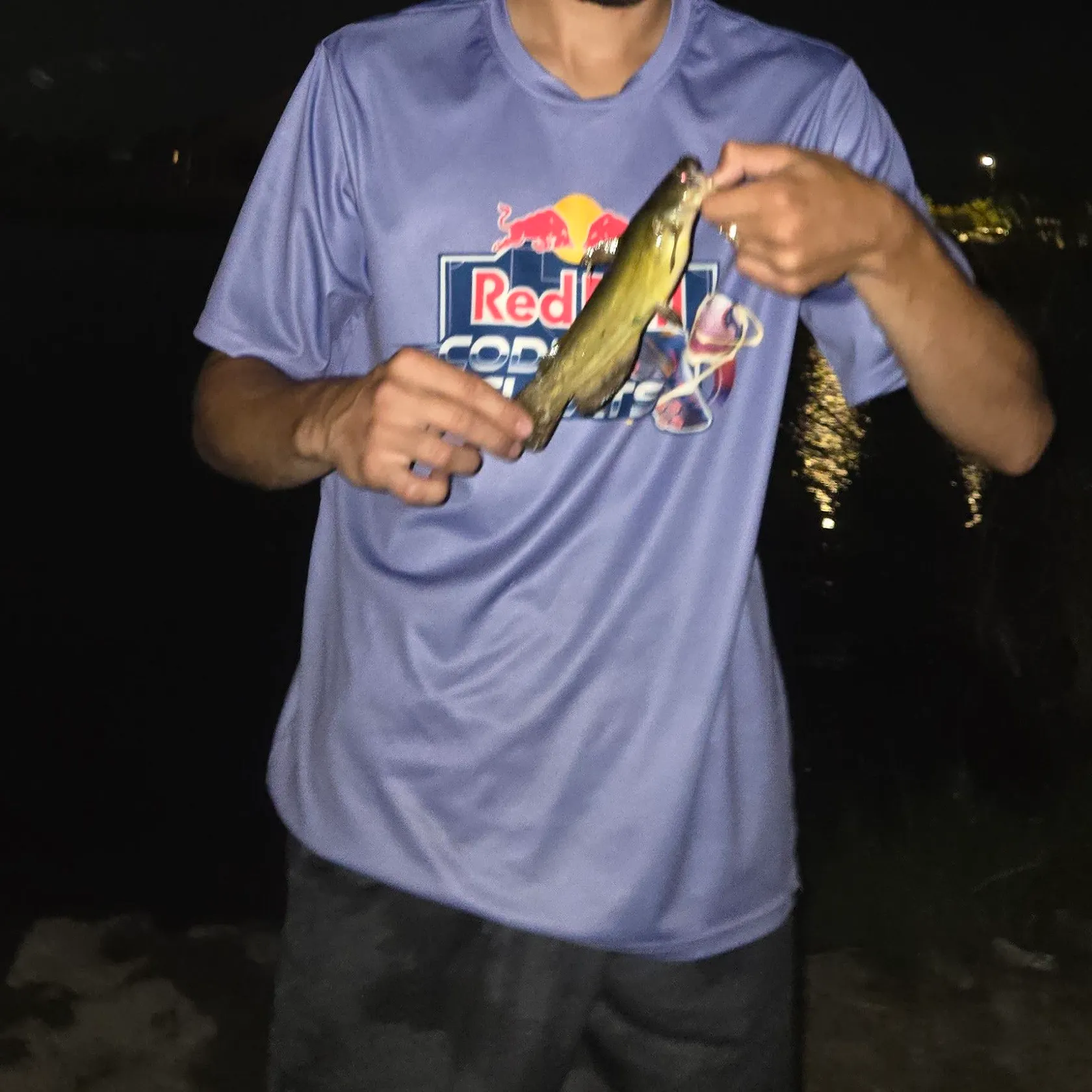 Channel catfish caught on Fishbrain