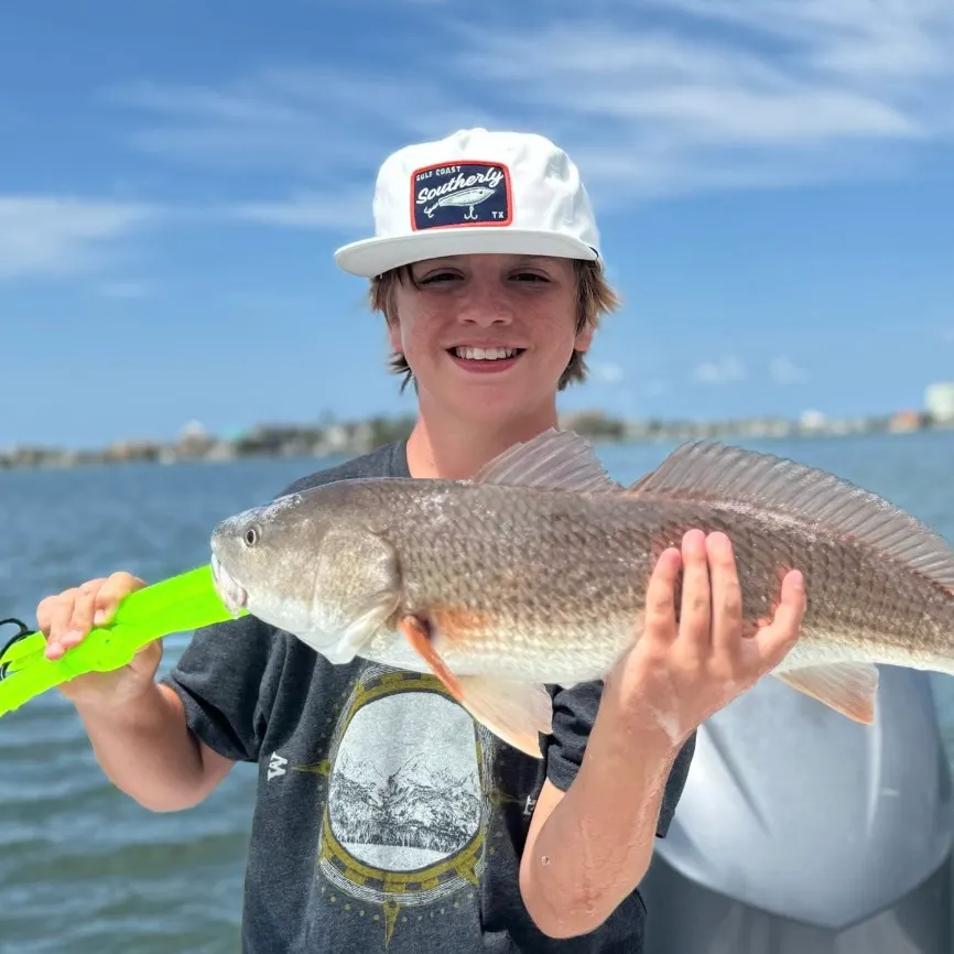 The most recent Red drum catches on Fishbrain