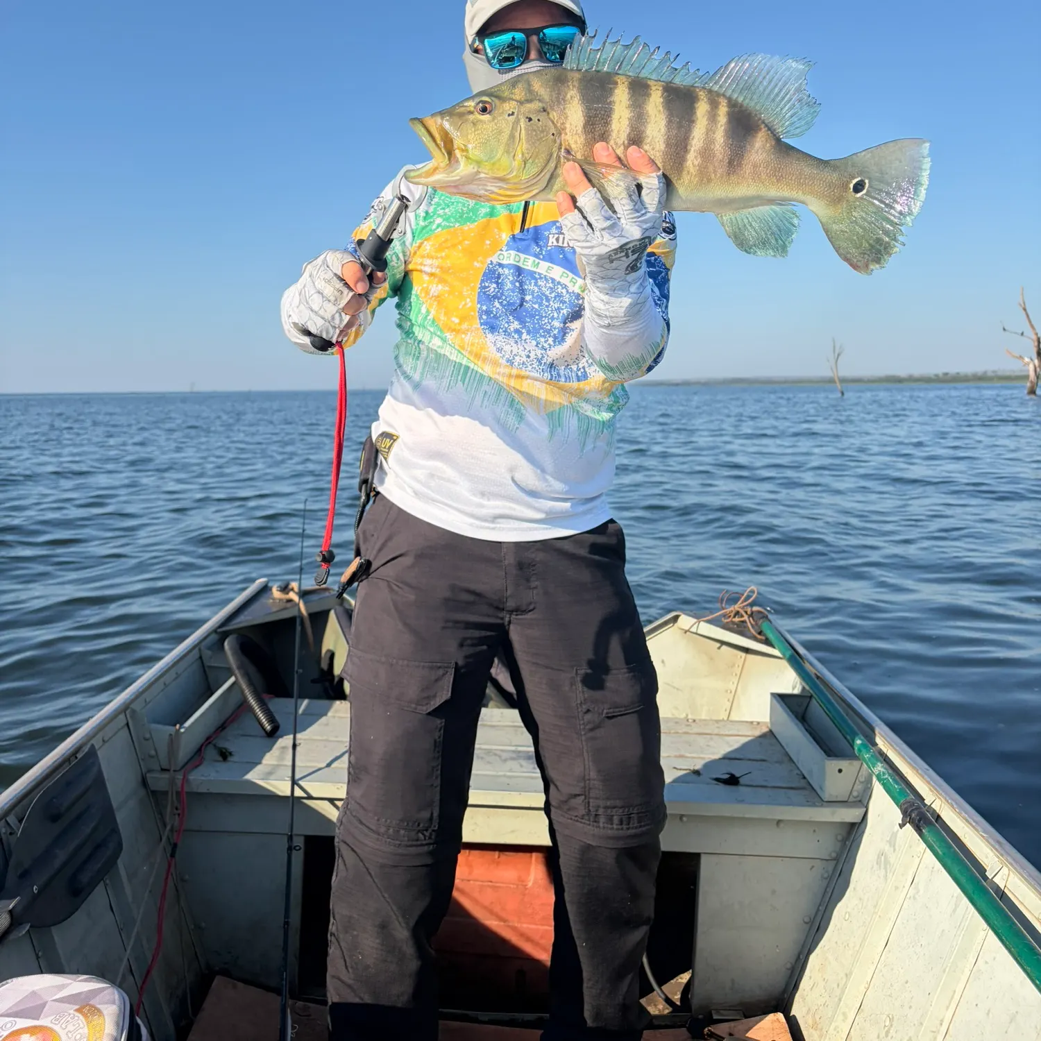 The most recent Blue peacock bass catches on Fishbrain
