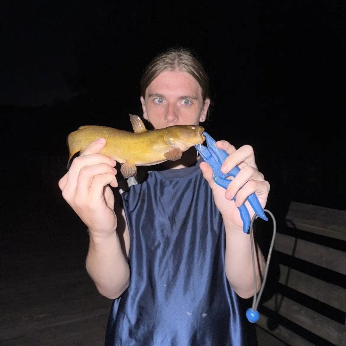 Yellow bullhead caught on Fishbrain