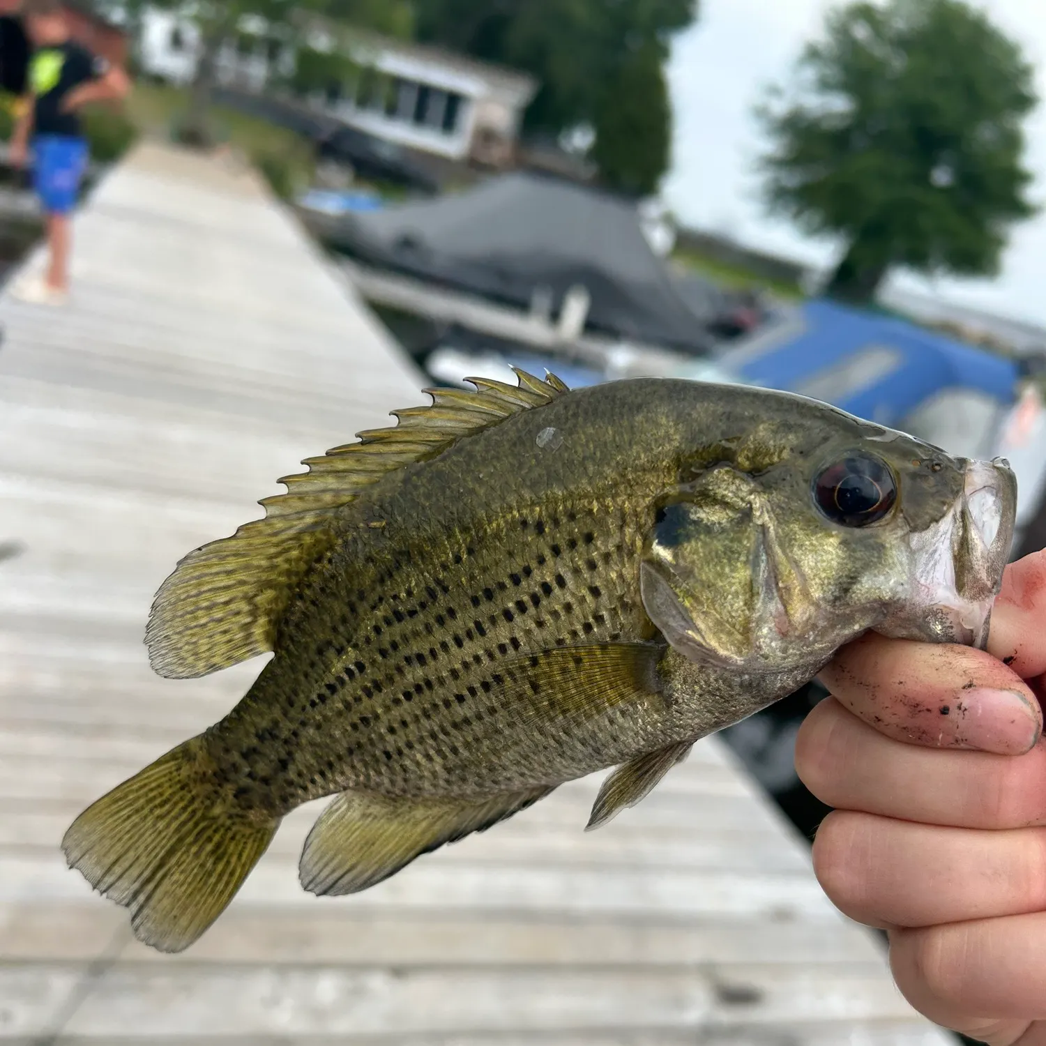catch