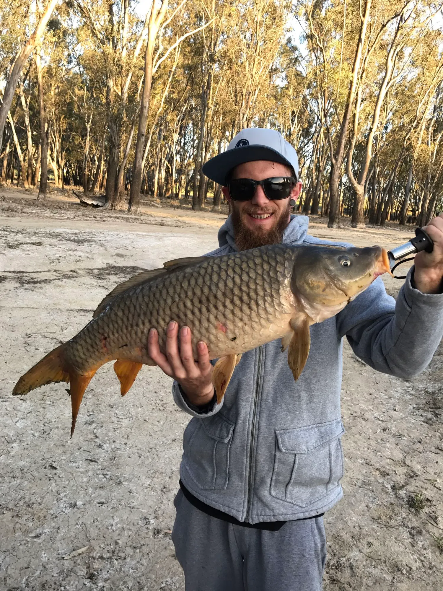 Post image from Doc-Yarrum