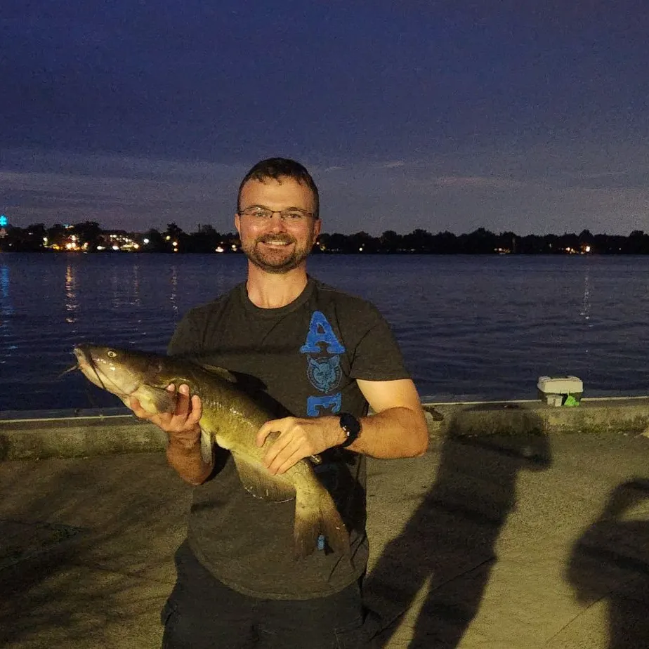 Channel catfish caught on Fishbrain