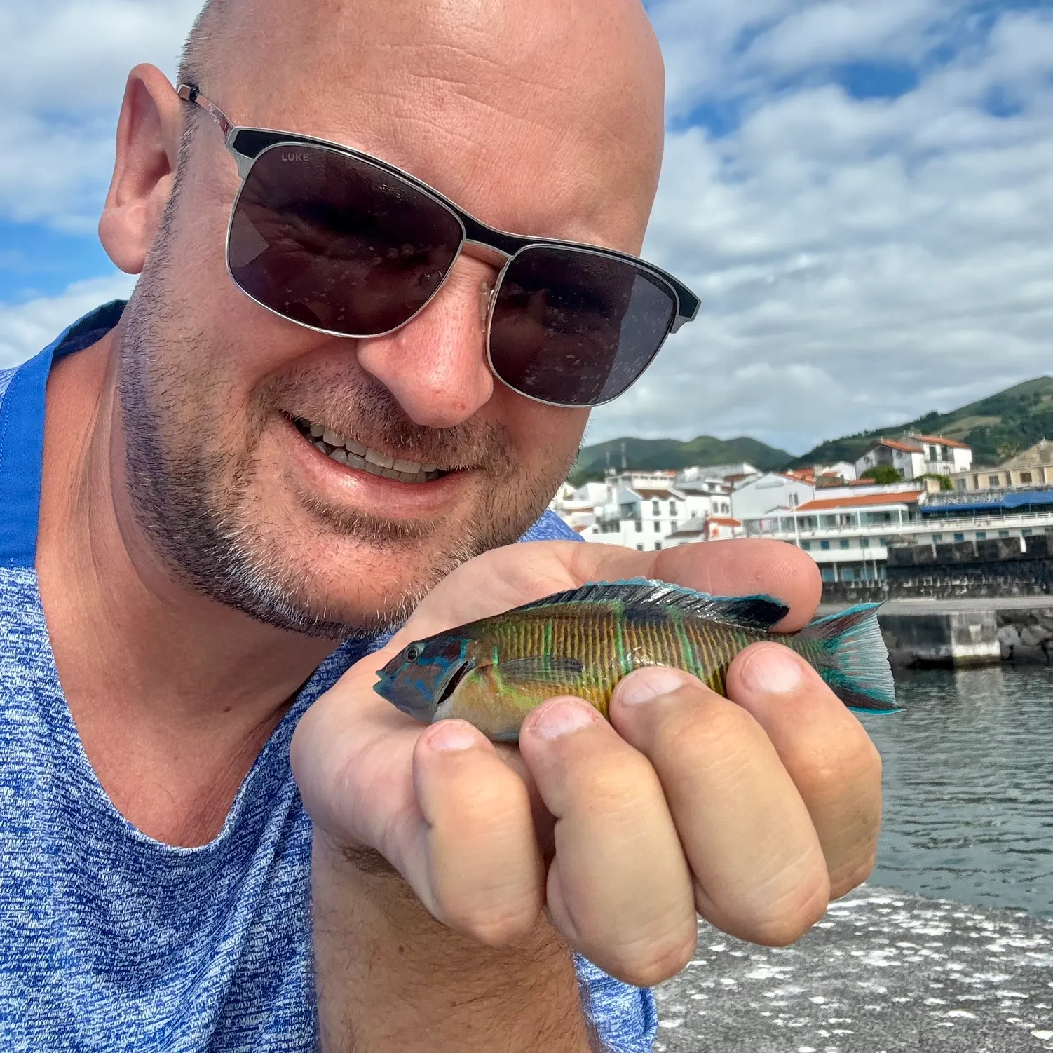 The most recent Ornate wrasse catches on Fishbrain