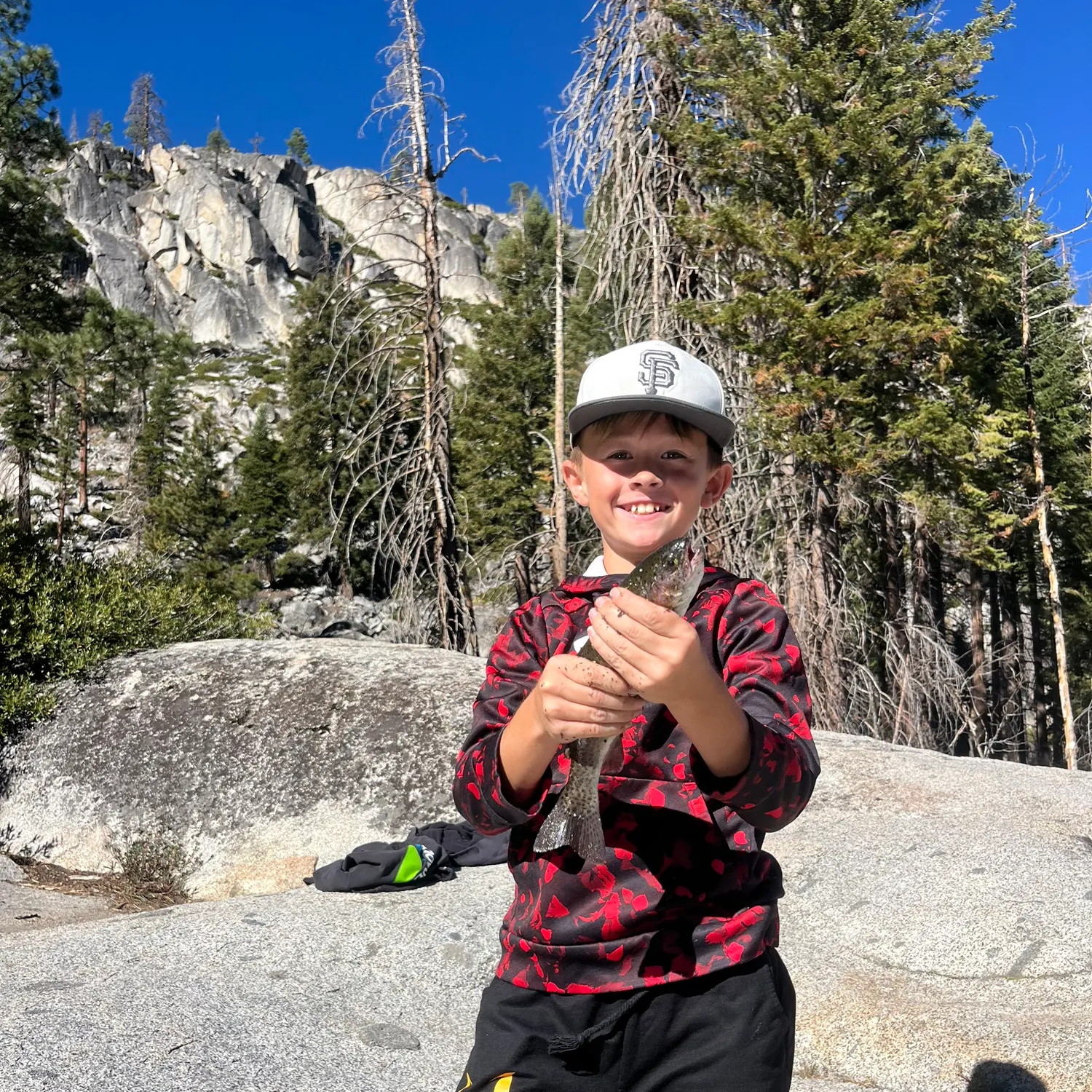 Rainbow trout caught on Fishbrain