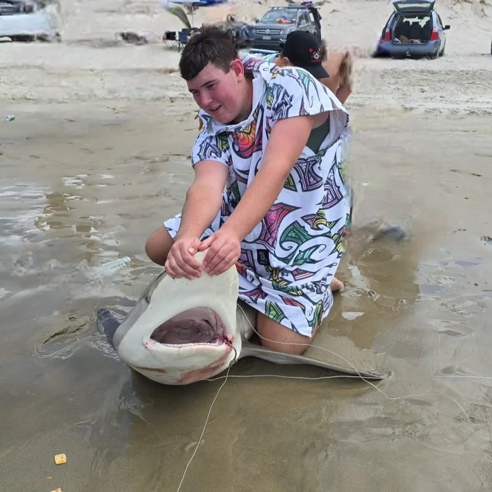 The most recent Copper shark catches on Fishbrain