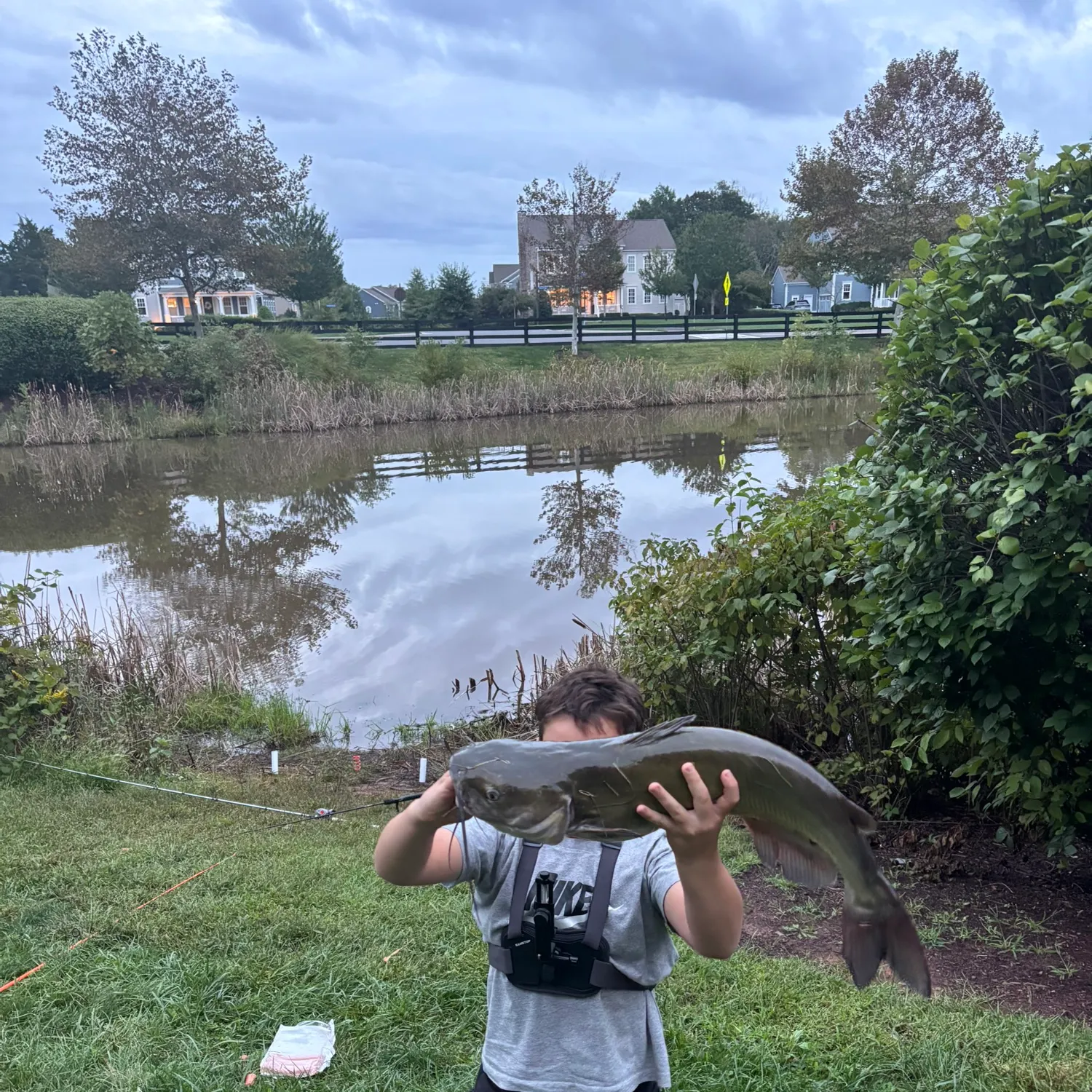 Channel catfish caught on Fishbrain