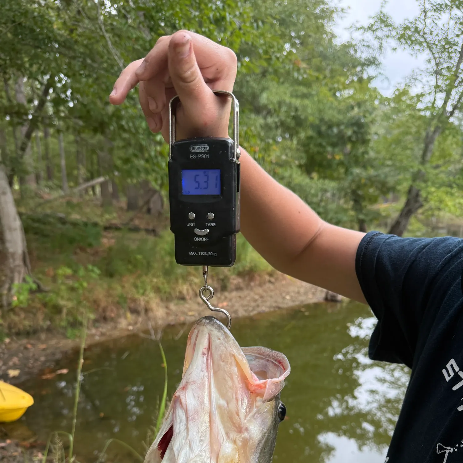 Largemouth bass caught on Fishbrain