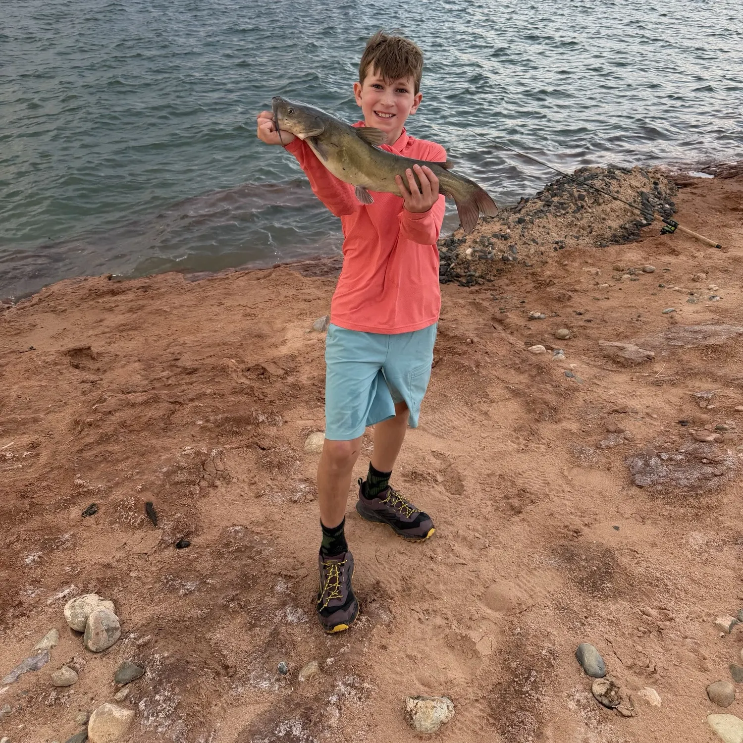 Channel catfish caught on Fishbrain