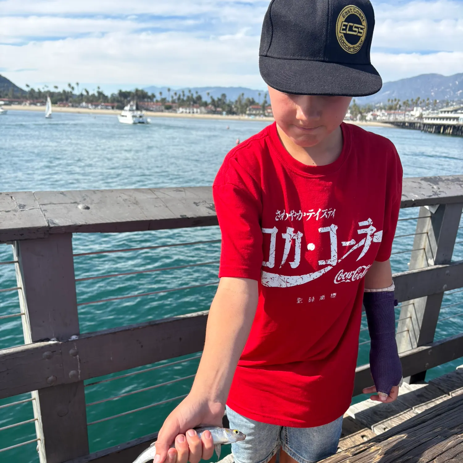 The most recent Northern anchovy catches on Fishbrain