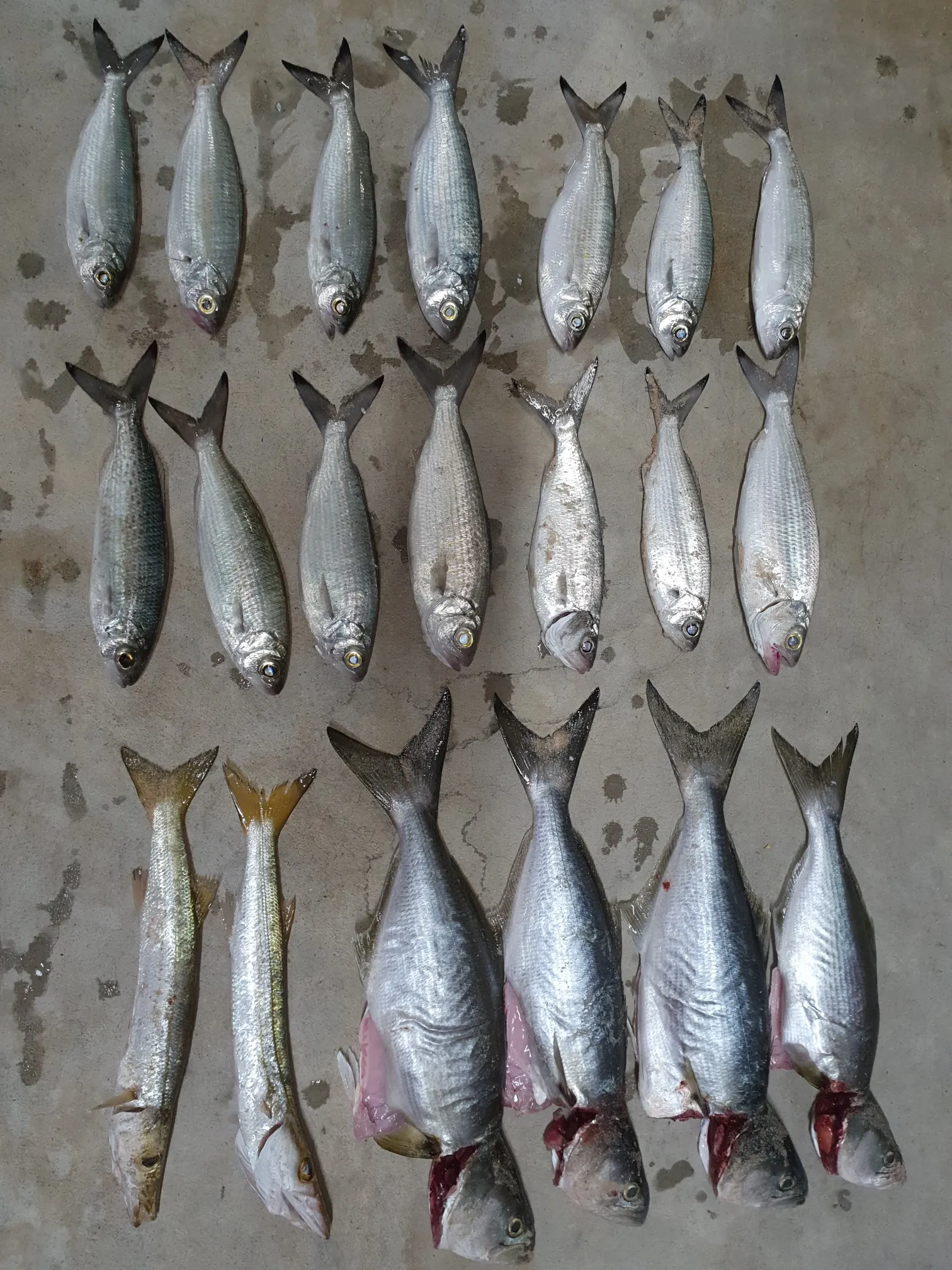 Post image from jaisleep