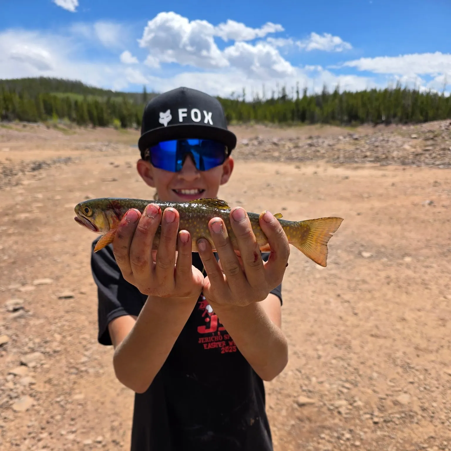 The most recent Splake catches on Fishbrain