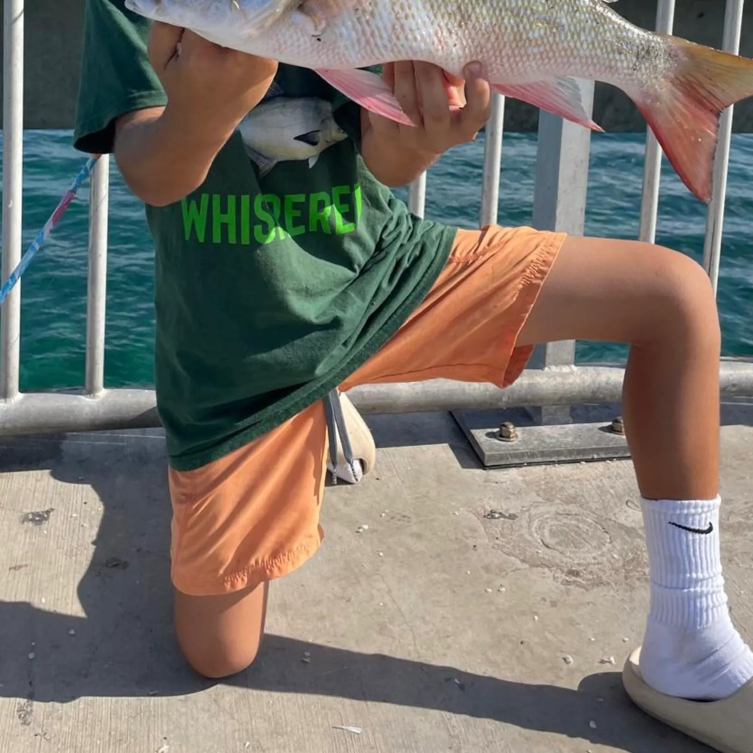 The most recent Mutton snapper catches on Fishbrain