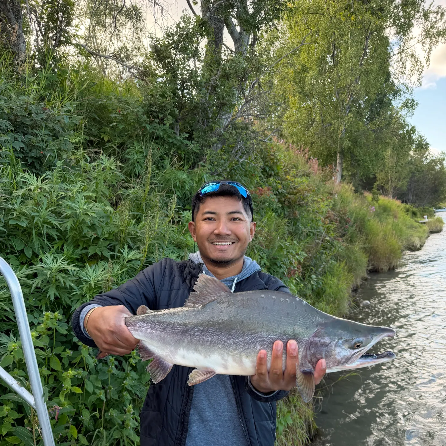 Pink salmon caught on Fishbrain