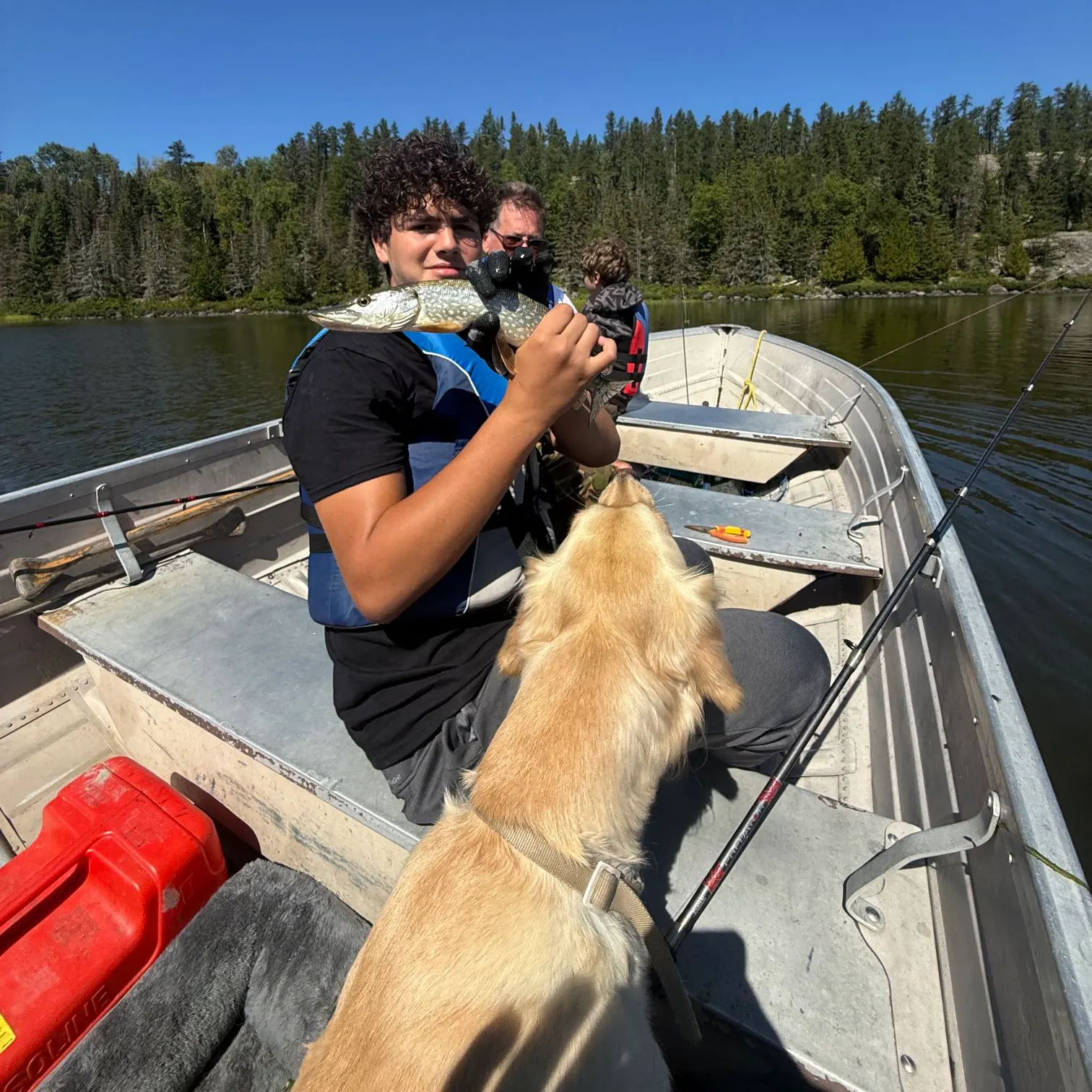 Northern pike caught on Fishbrain