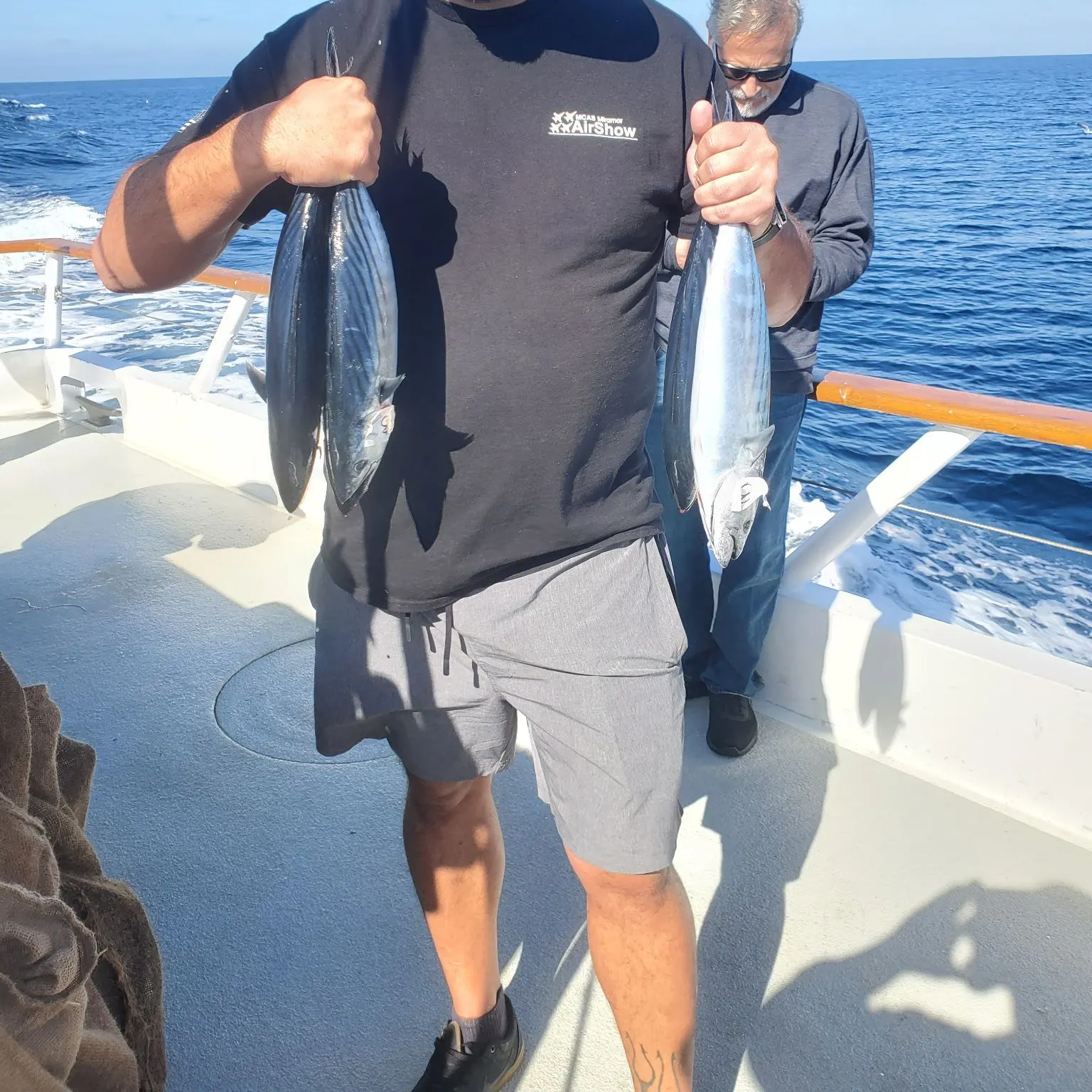 The most recent Eastern Pacific bonito catches on Fishbrain
