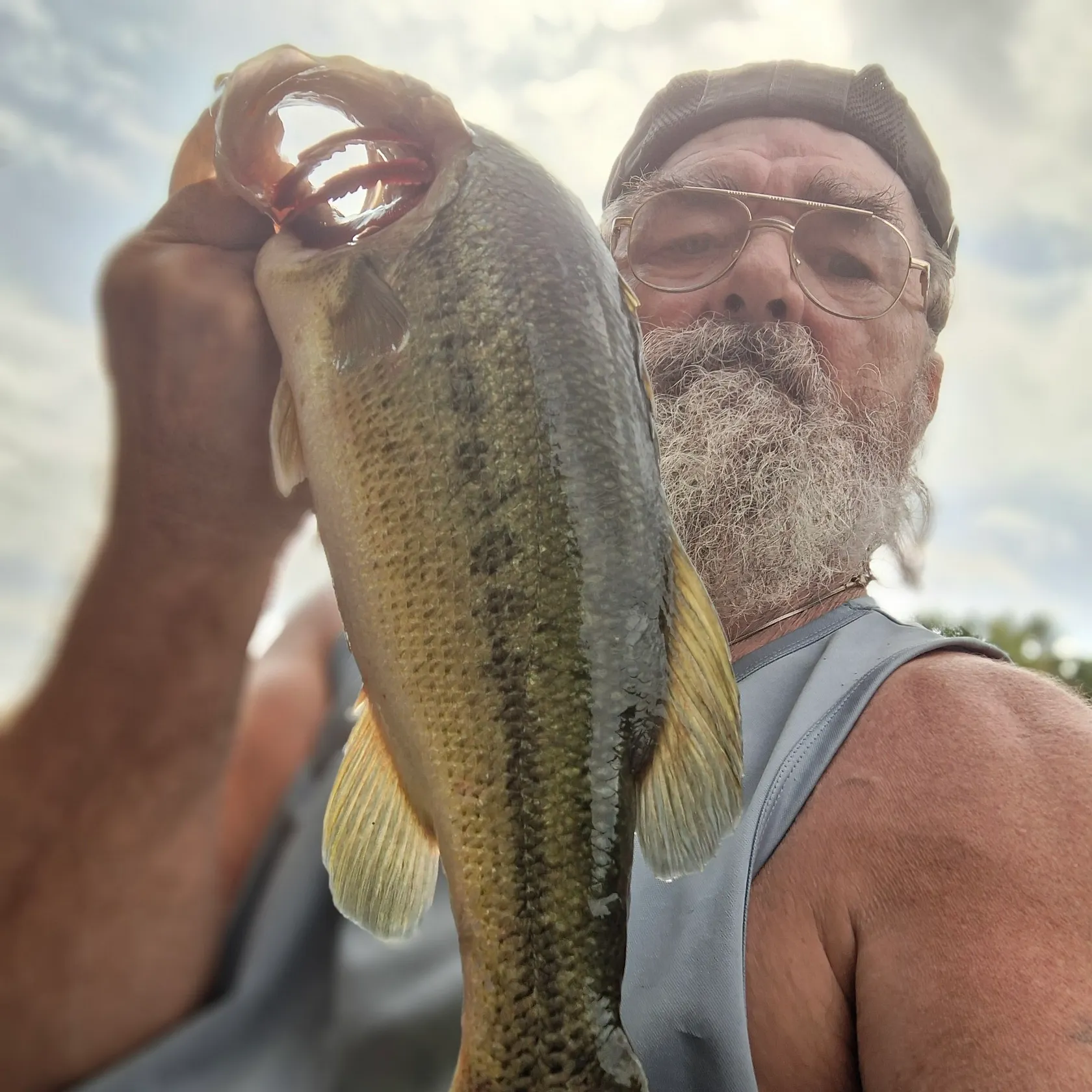 Fish caught on Fishbrain
