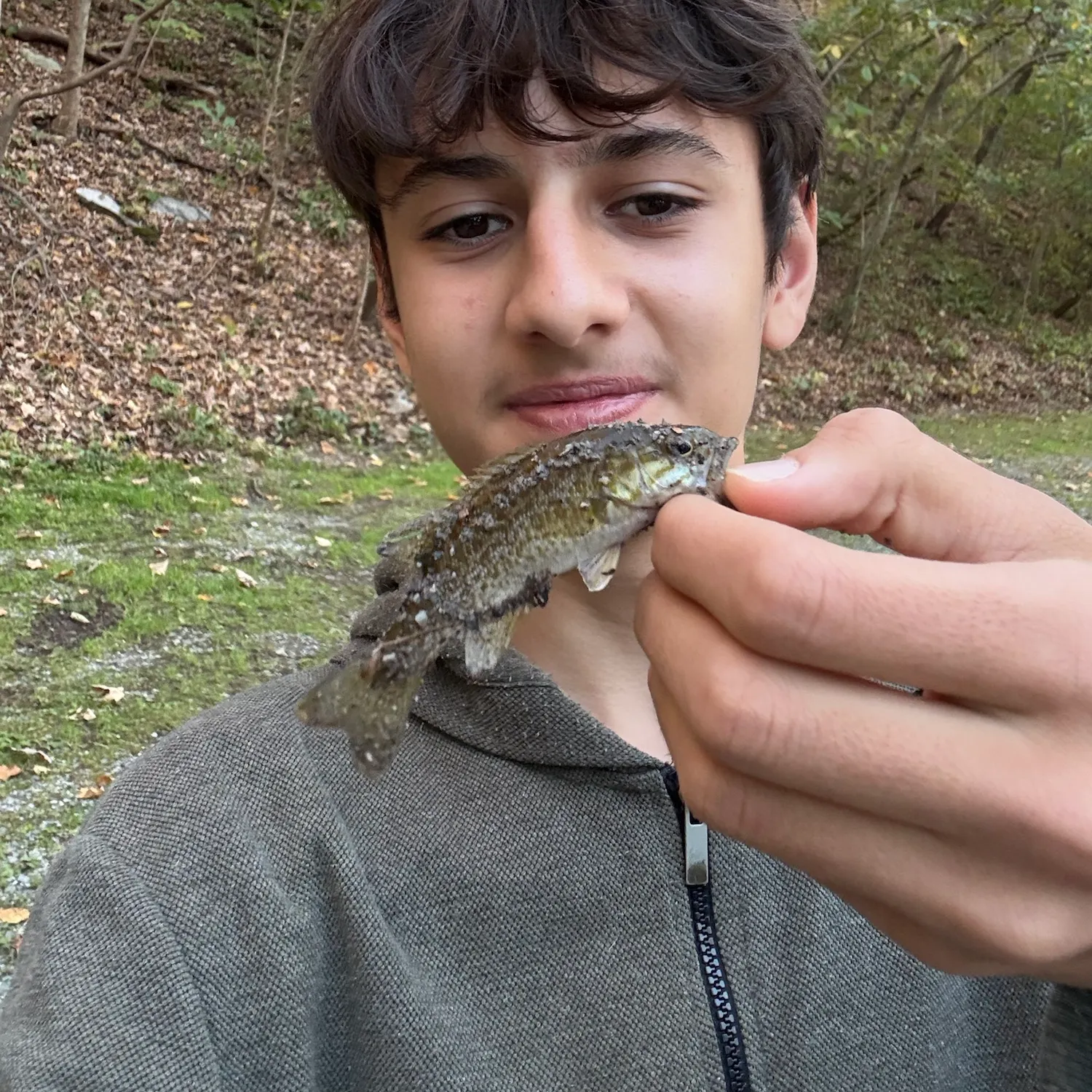 Smallmouth bass caught on Fishbrain