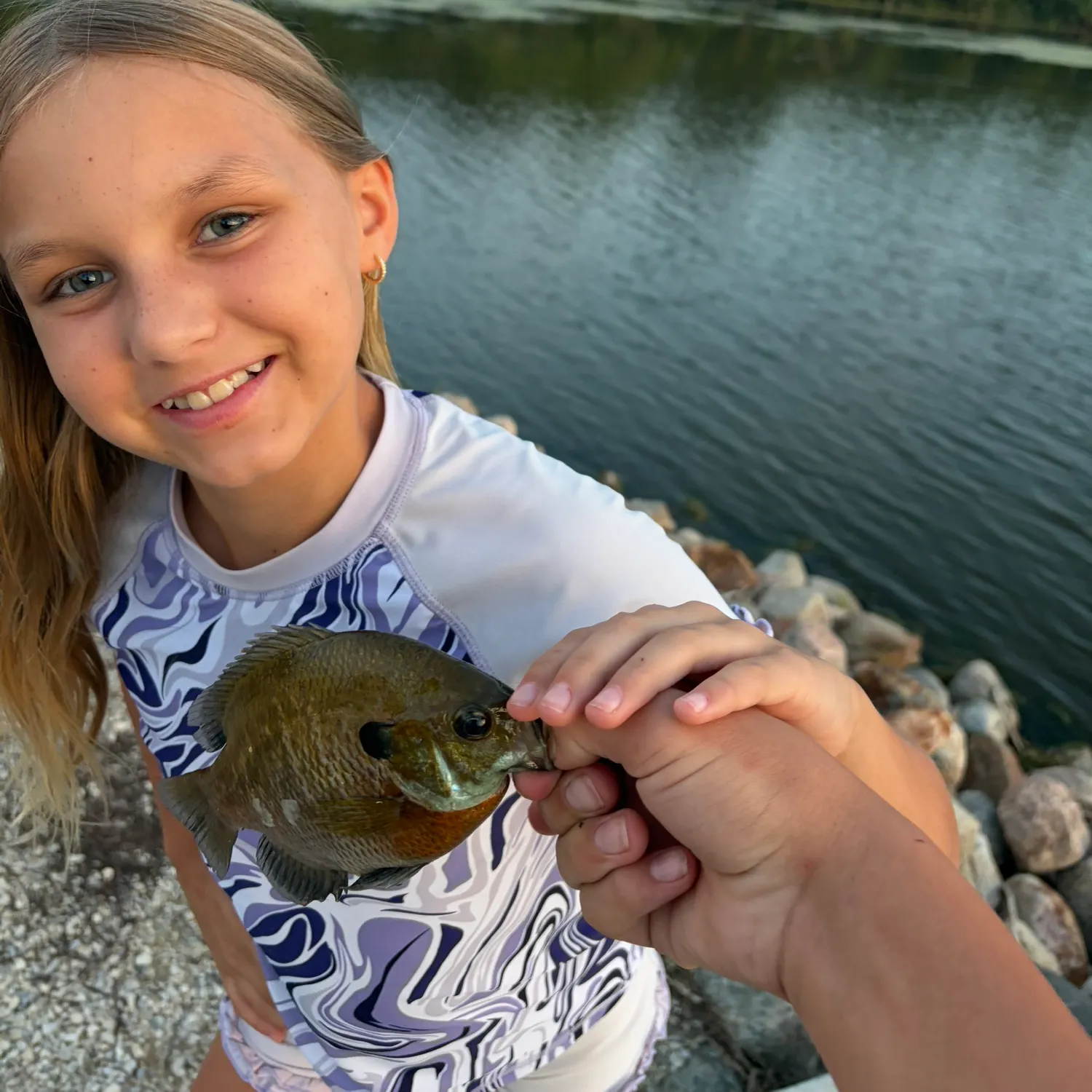 Bluegill caught on Fishbrain