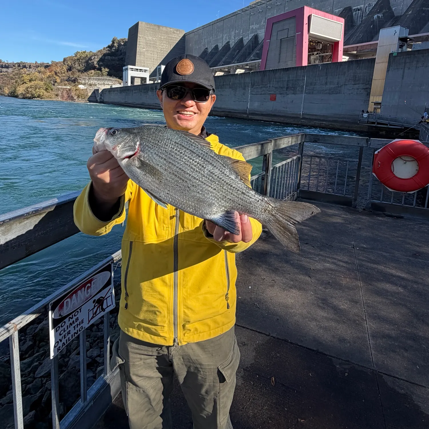 White bass caught on Fishbrain
