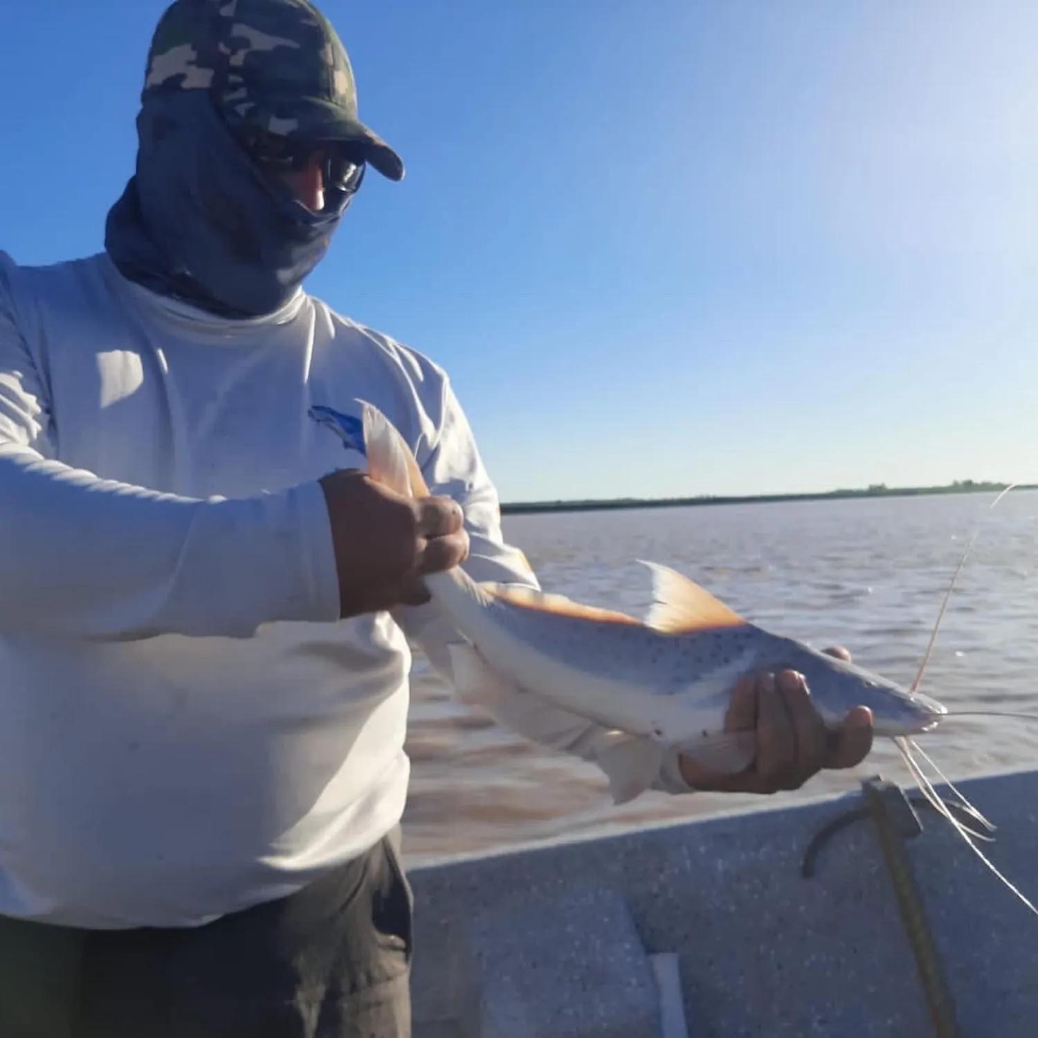 angler catch