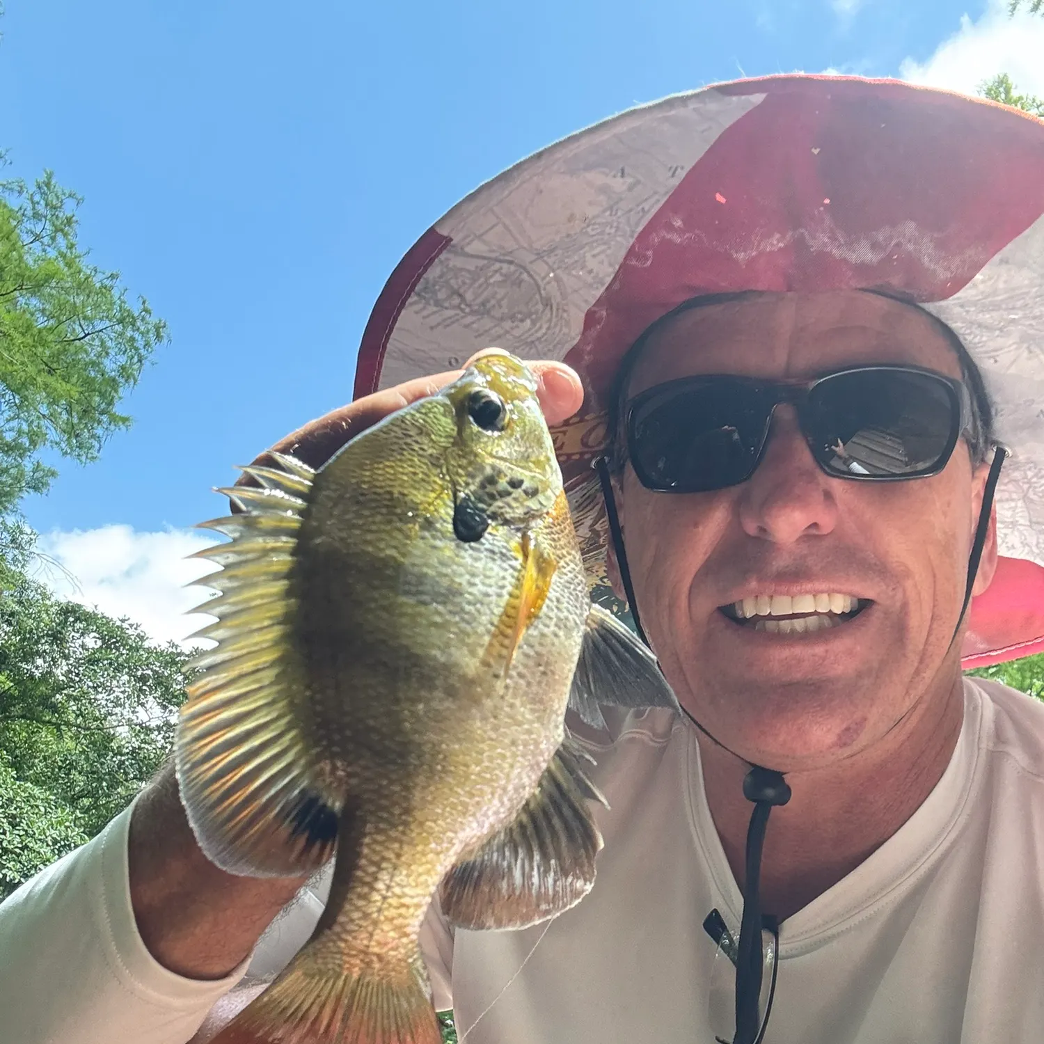Bluegill caught on Fishbrain