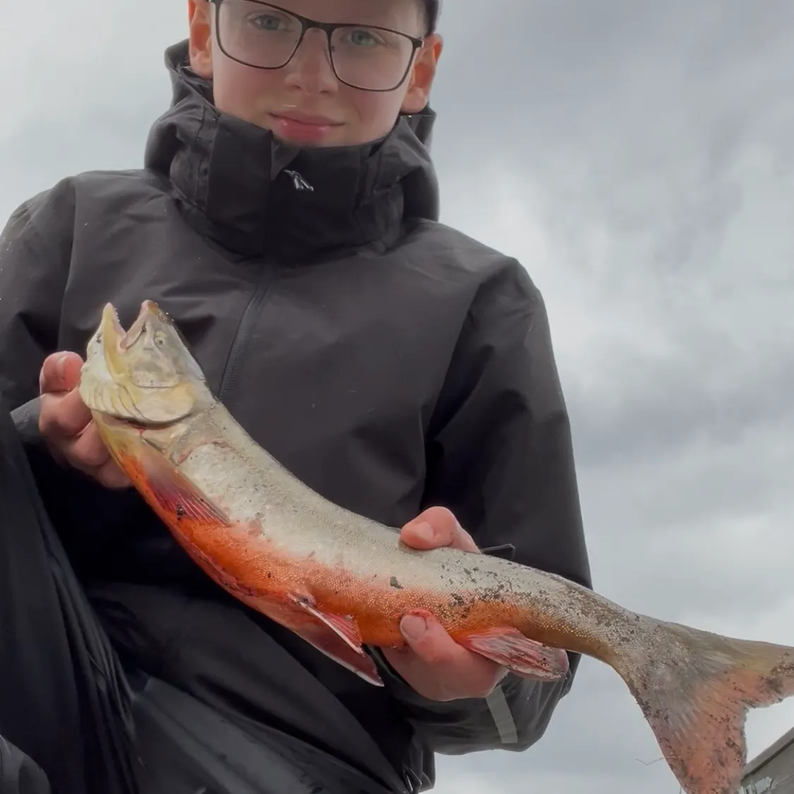 The most recent Arctic char catches on Fishbrain