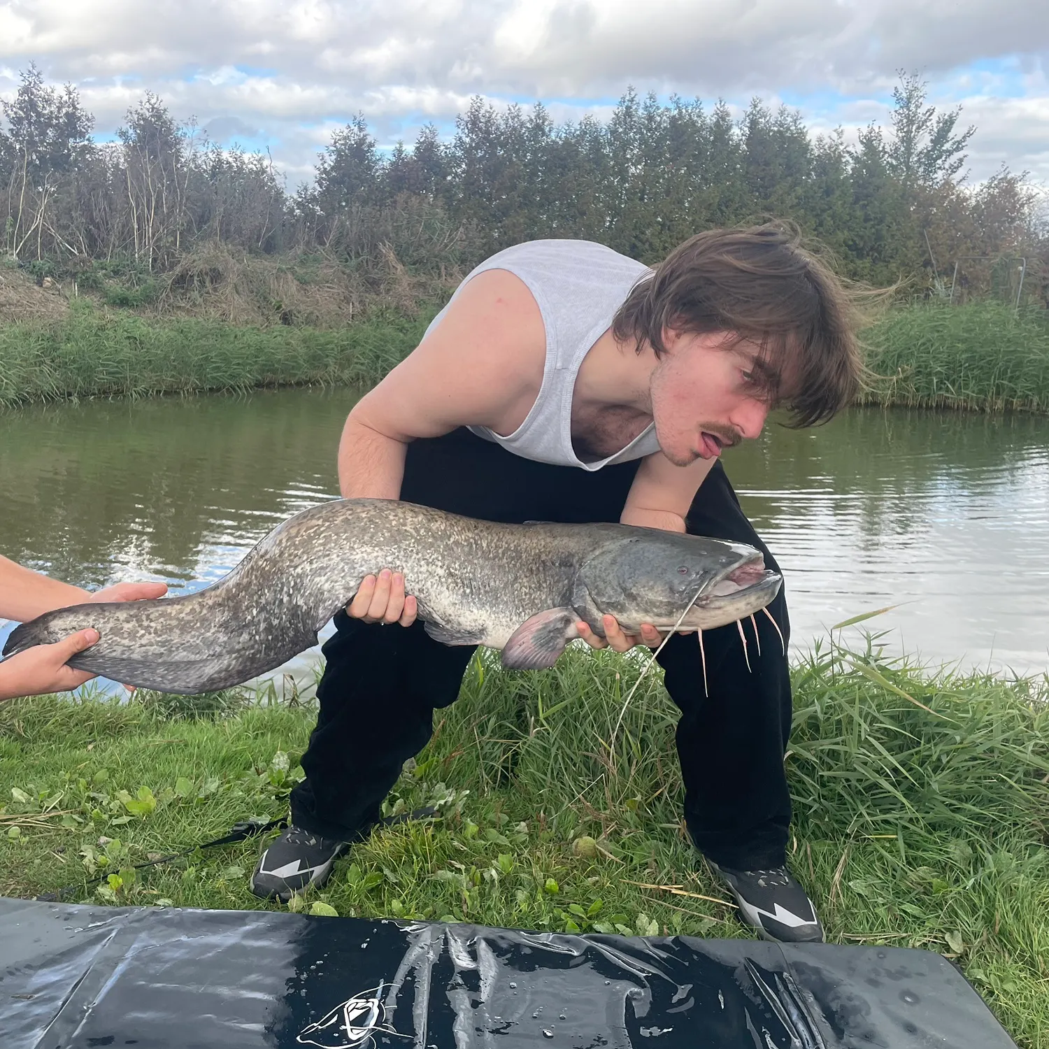 Wels catfish caught on Fishbrain