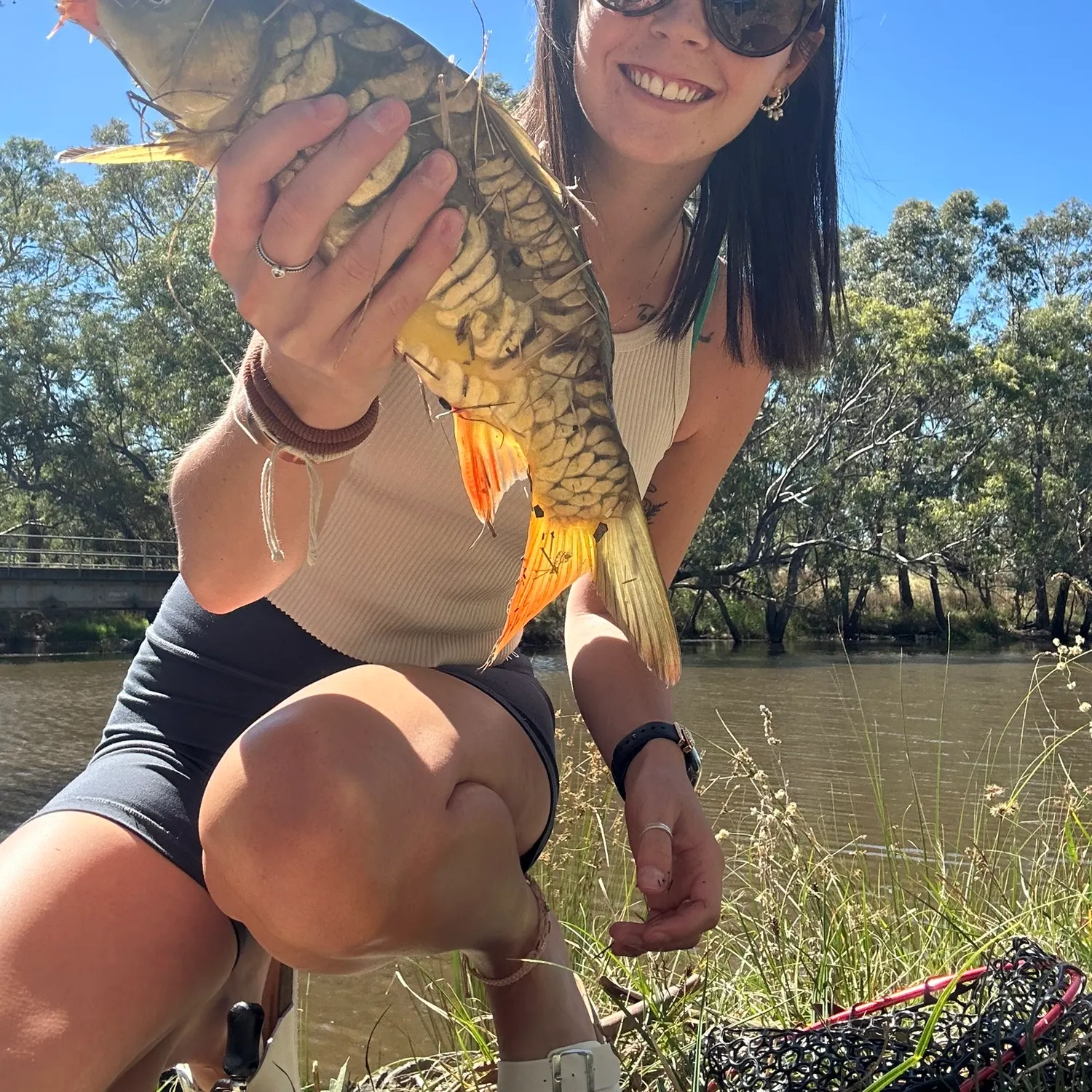 The most recent Mirror carp catches on Fishbrain