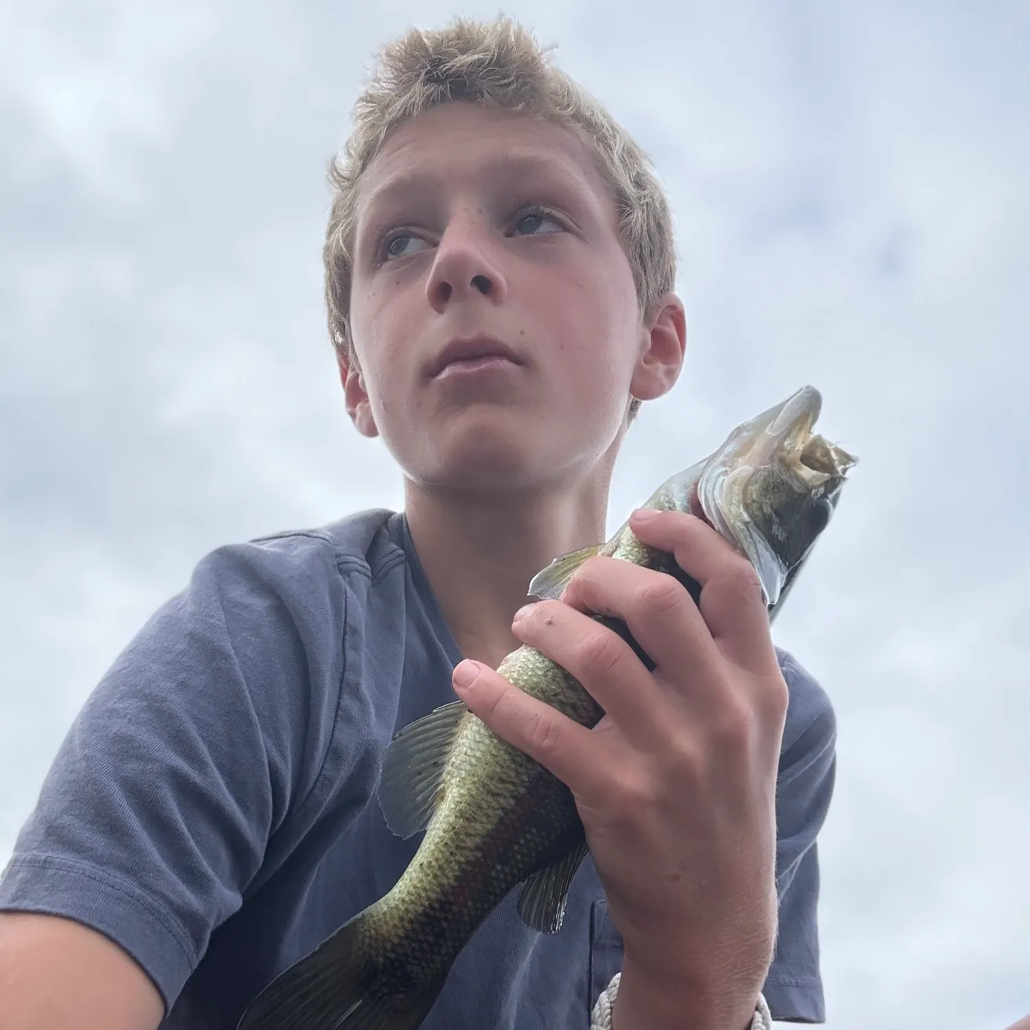 Eyetail bowfin caught on Fishbrain