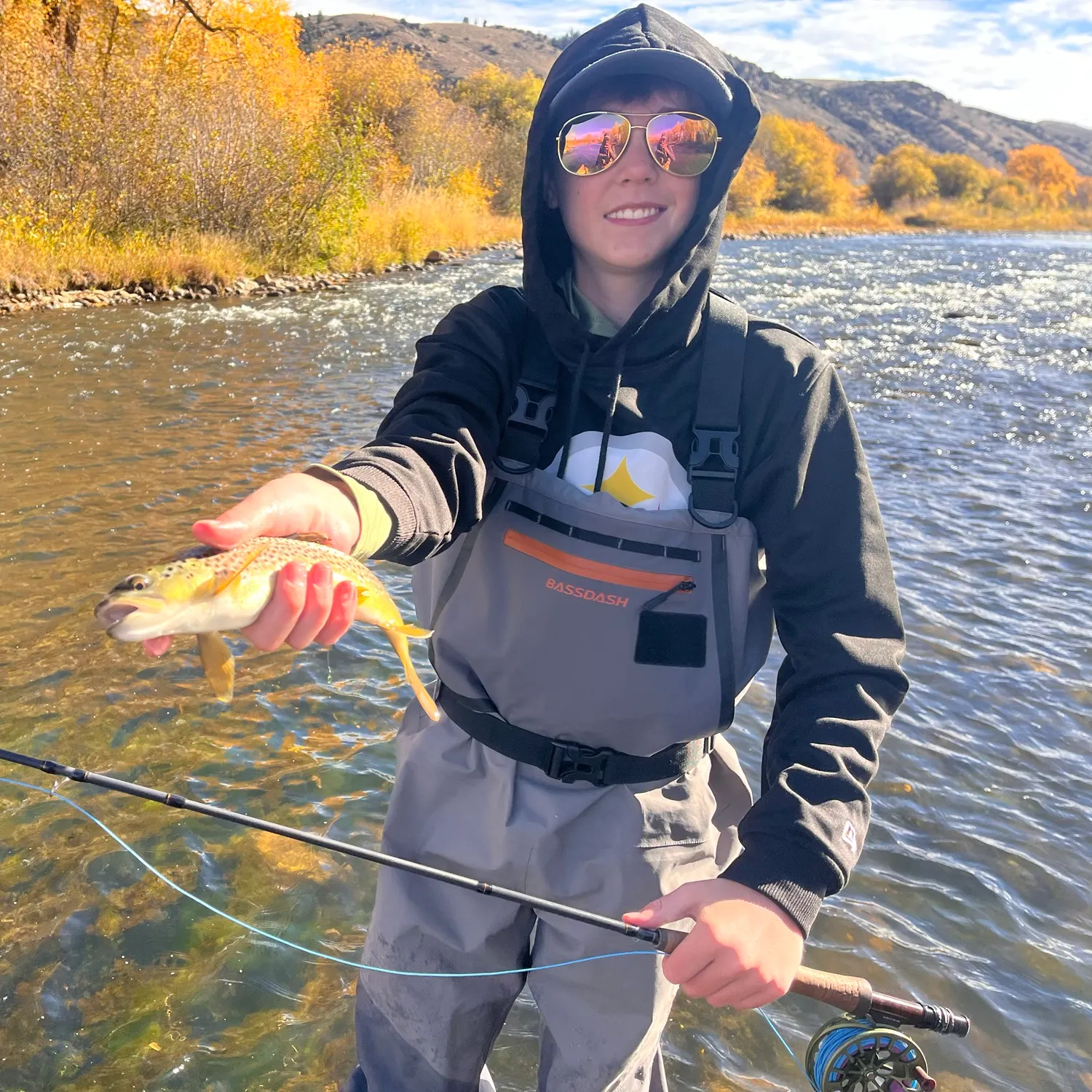 Brown trout caught on Fishbrain