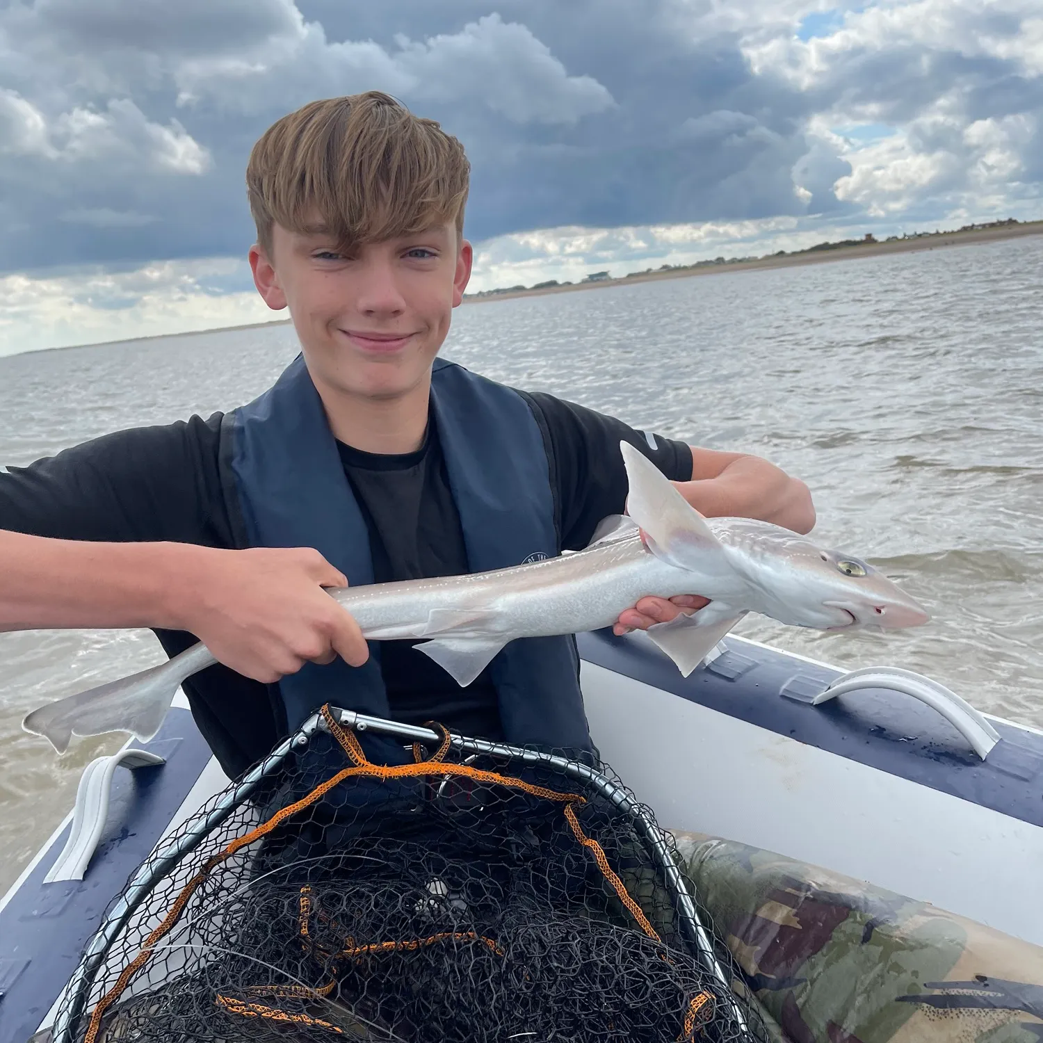 Grey smooth-hound caught on Fishbrain