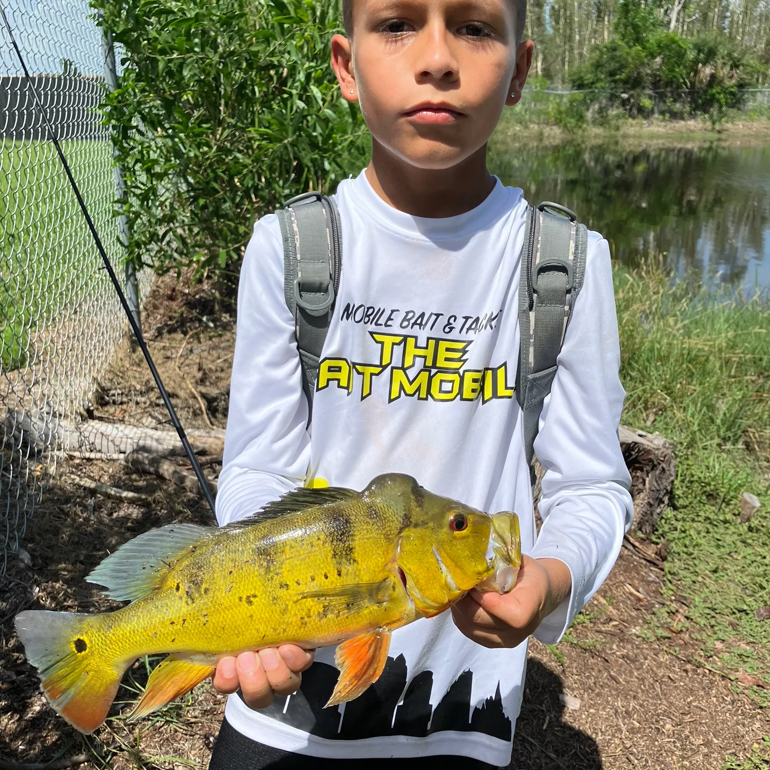The most recent Speckled peacock bass catches on Fishbrain