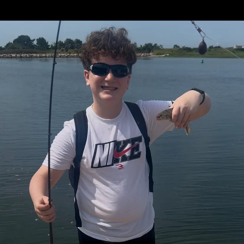 The most recent Gulf kingcroaker catches on Fishbrain