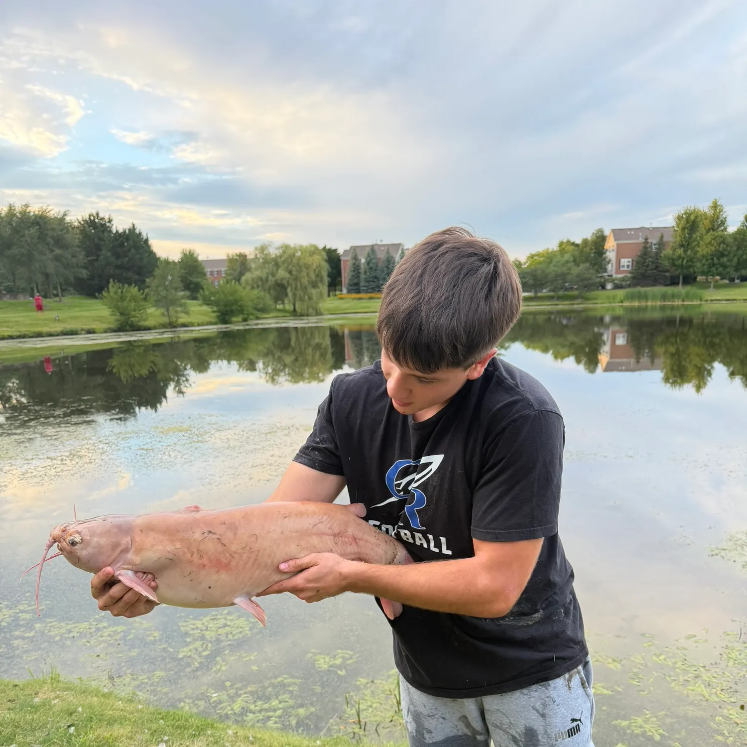 Channel catfish caught on Fishbrain