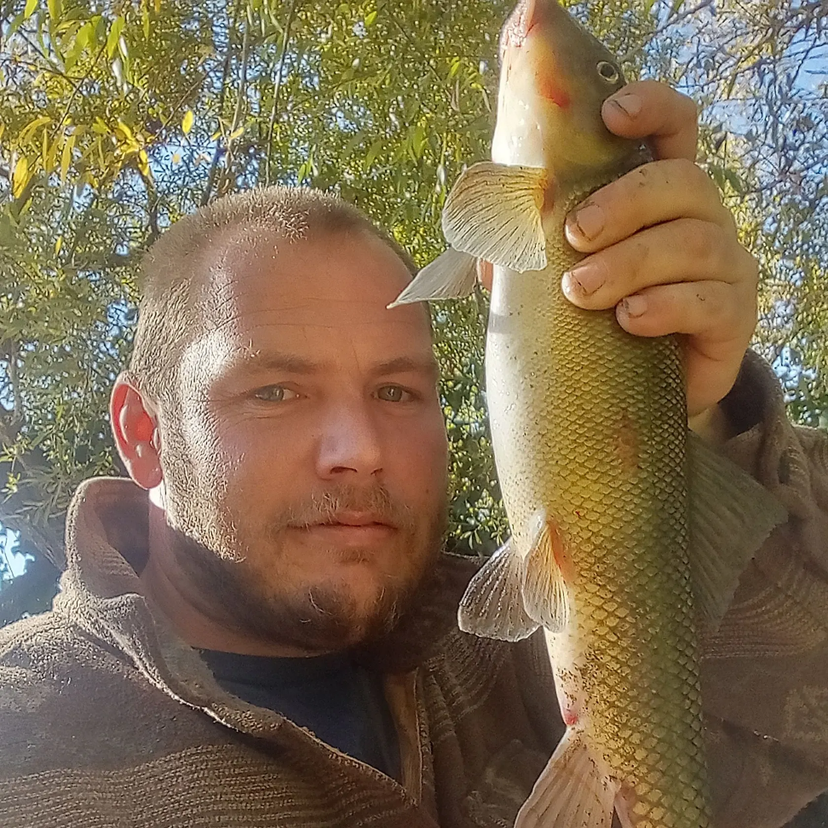 The most recent Sacramento sucker catches on Fishbrain