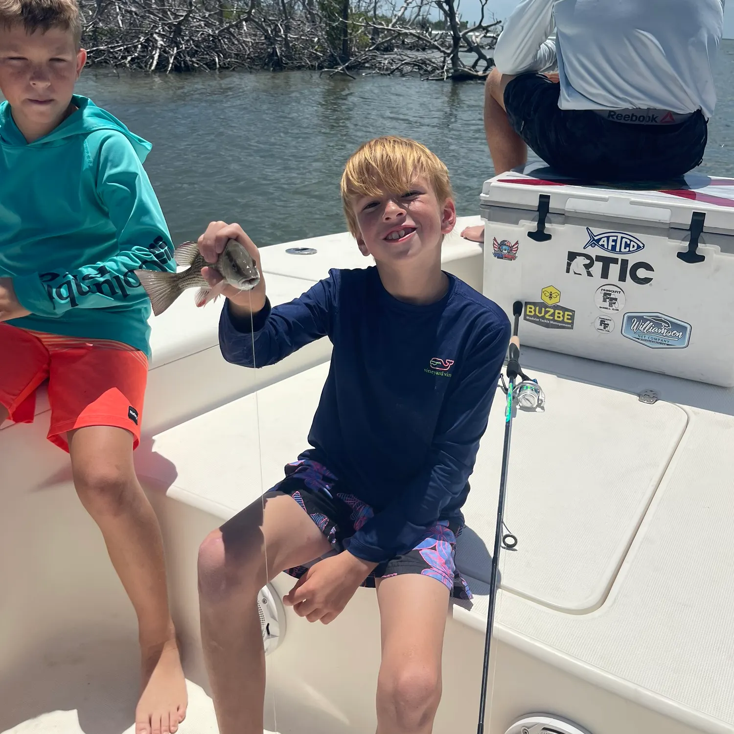The most recent Luderick catches on Fishbrain