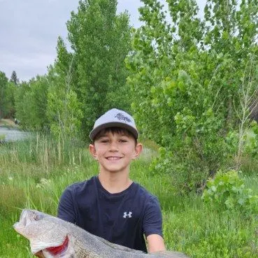 Walleye caught on Fishbrain
