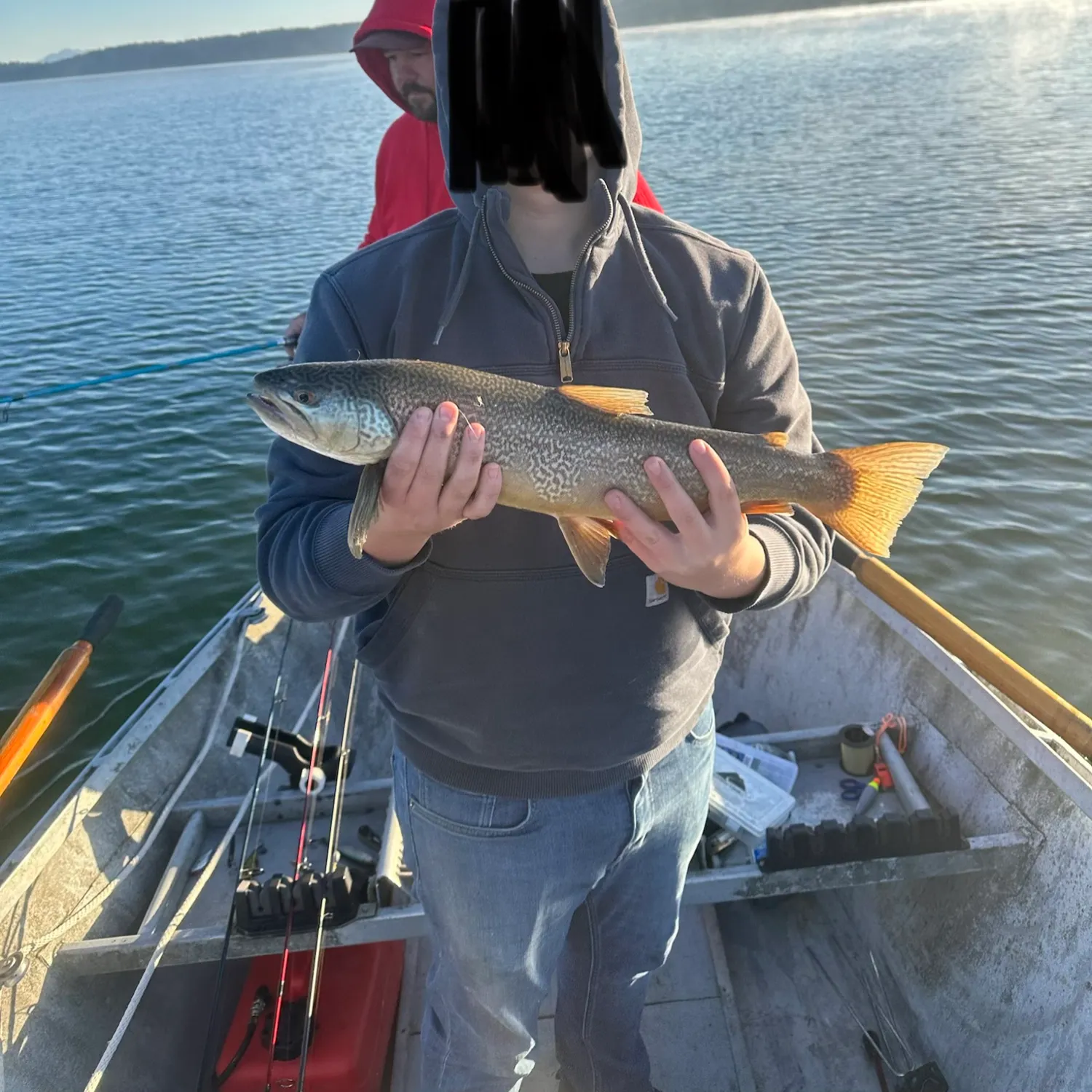 Tiger trout caught on Fishbrain