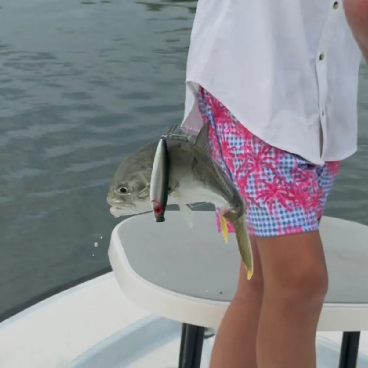 The most recent Horse-eye jack catches on Fishbrain