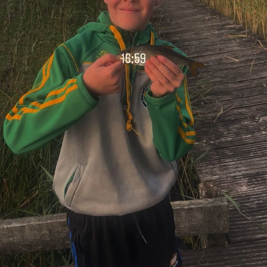 Common roach caught on Fishbrain