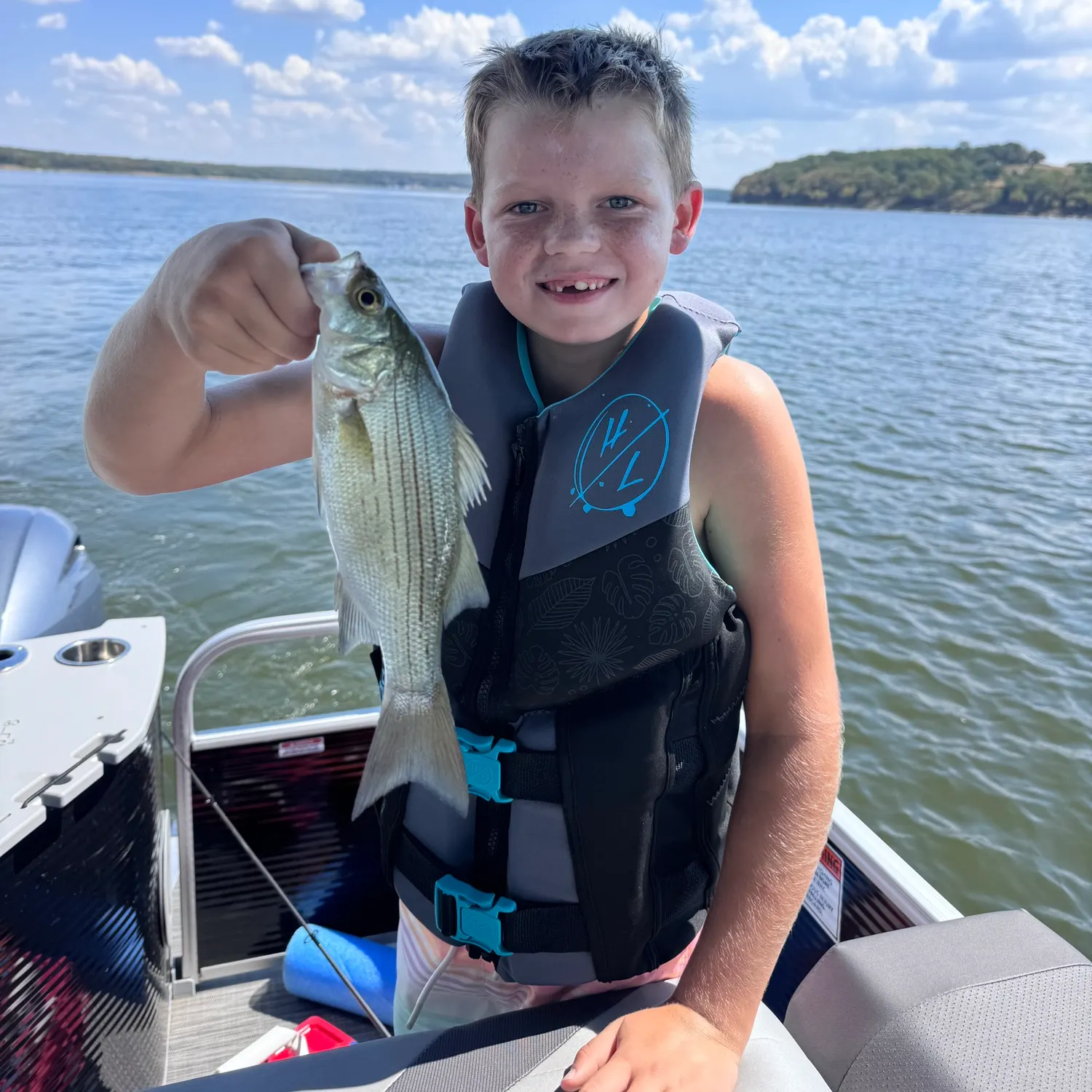 Striped bass caught on Fishbrain