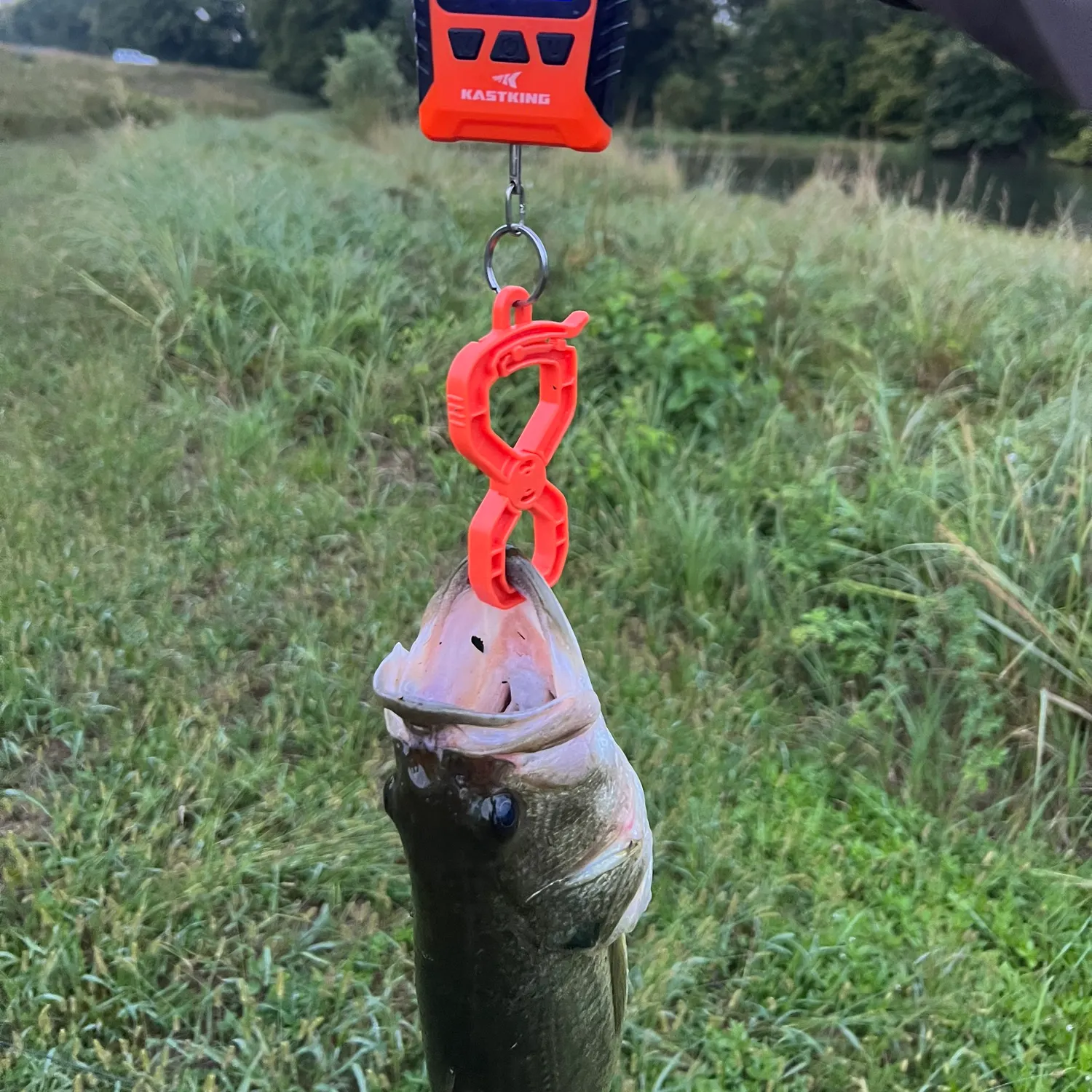 Fish caught on Fishbrain