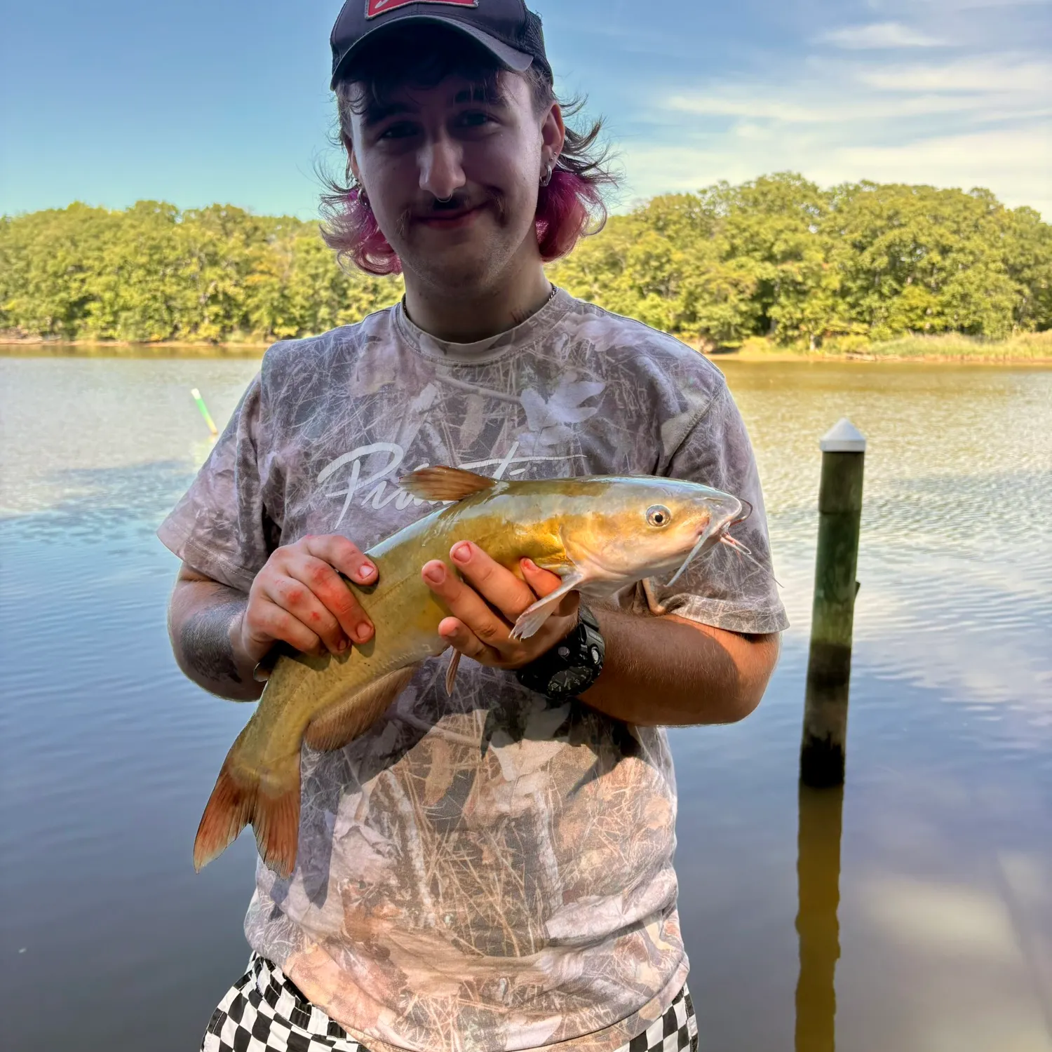 Channel catfish caught on Fishbrain