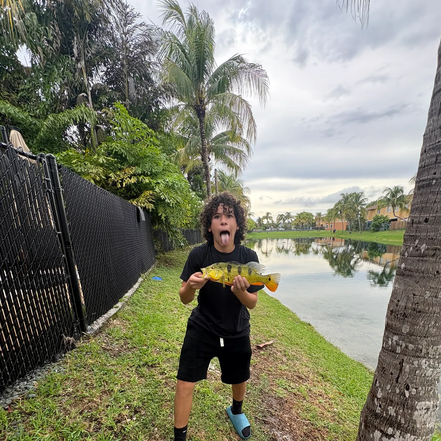 Butterfly peacock bass caught on Fishbrain
